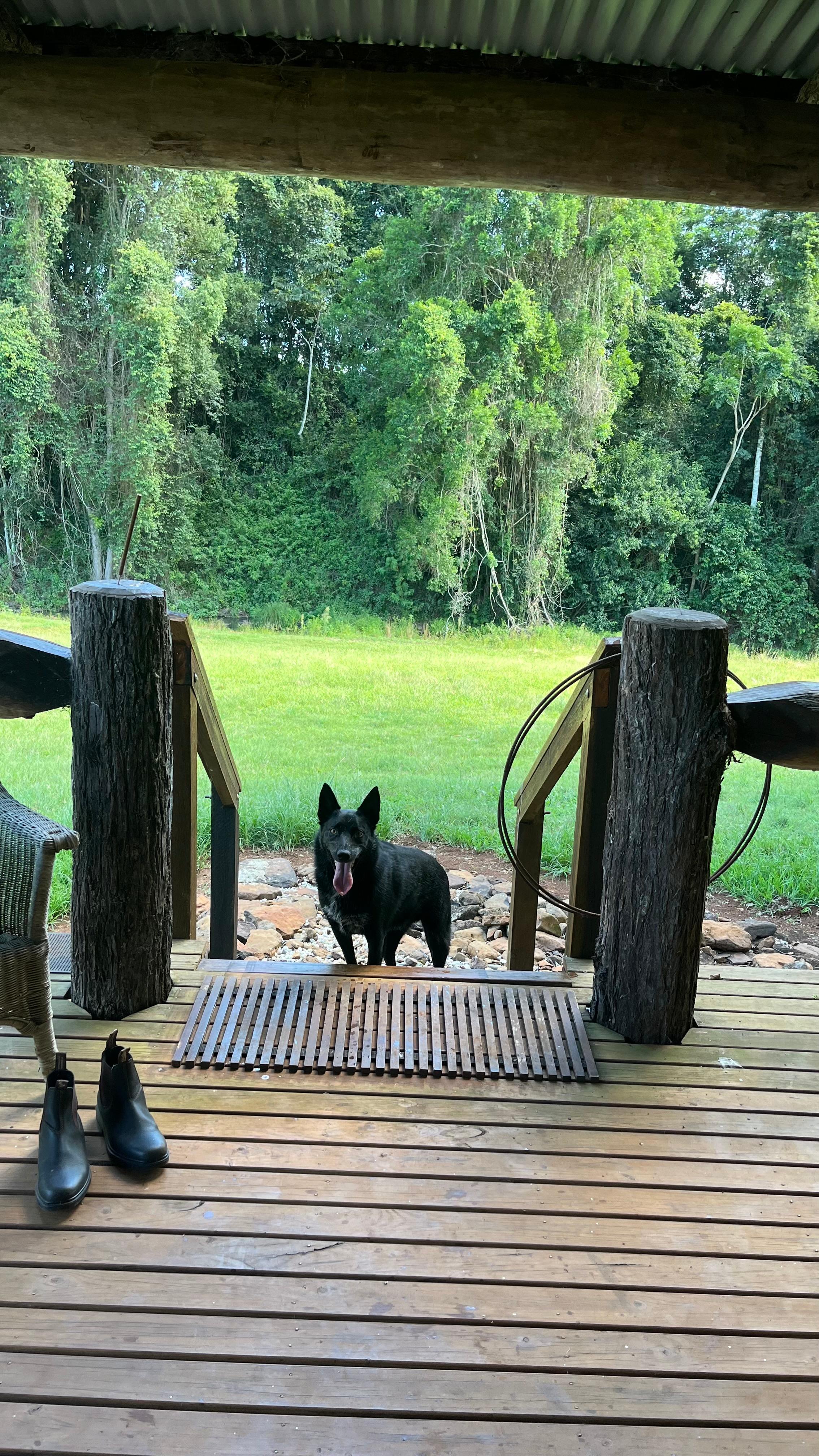 Barachi by the Creek