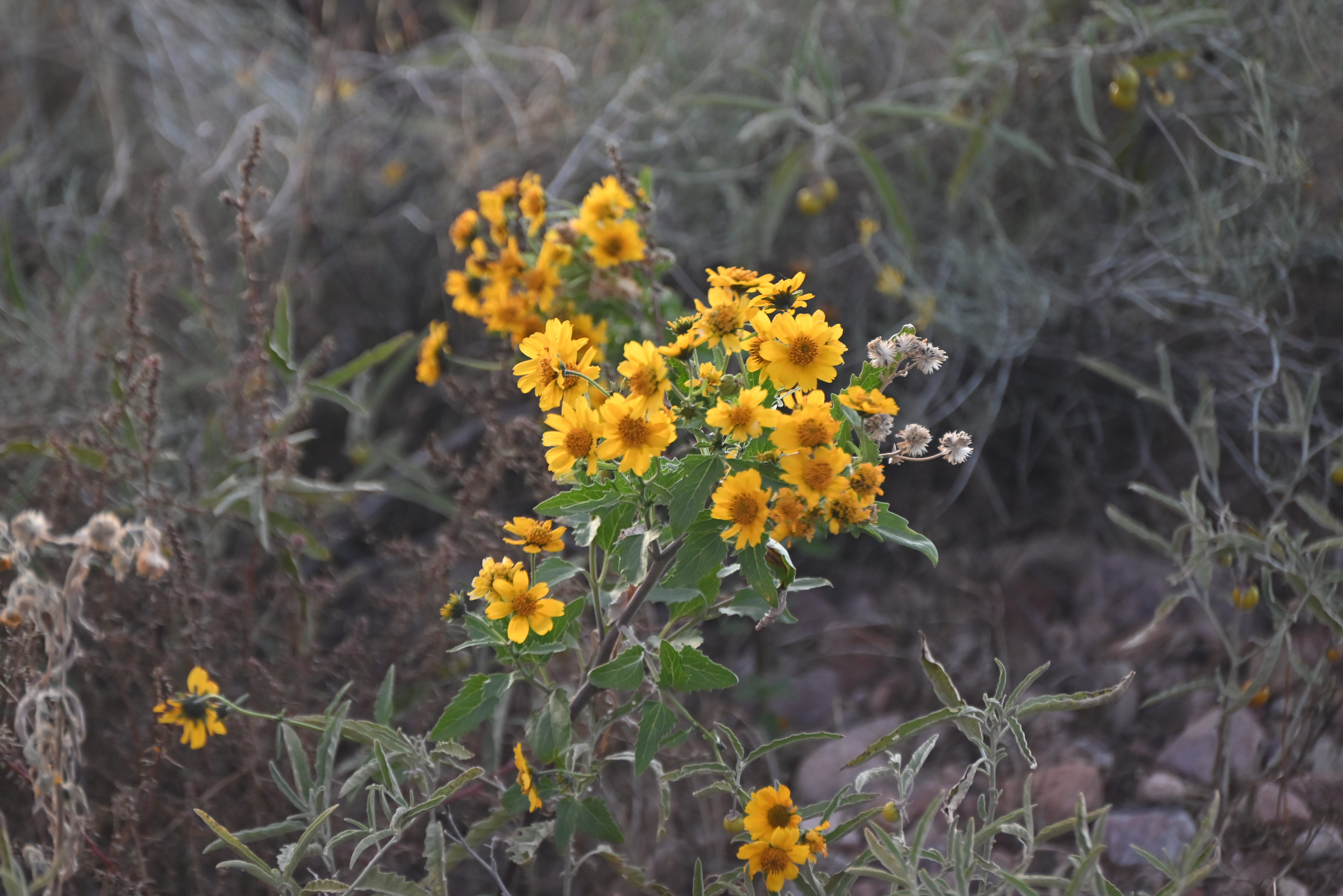 Towapa Creekside PhotoFarm