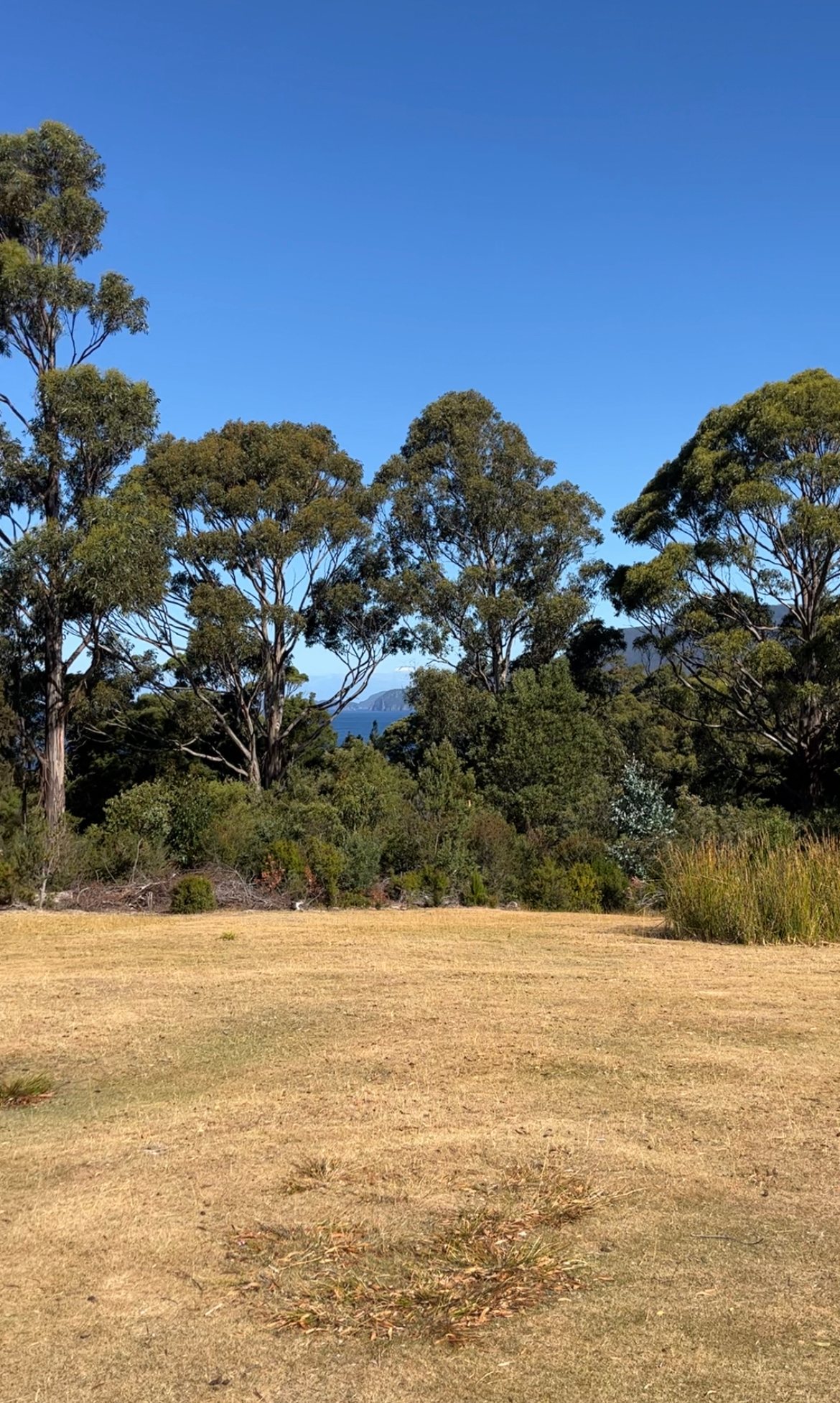 Deep Glen Coastal Campsite