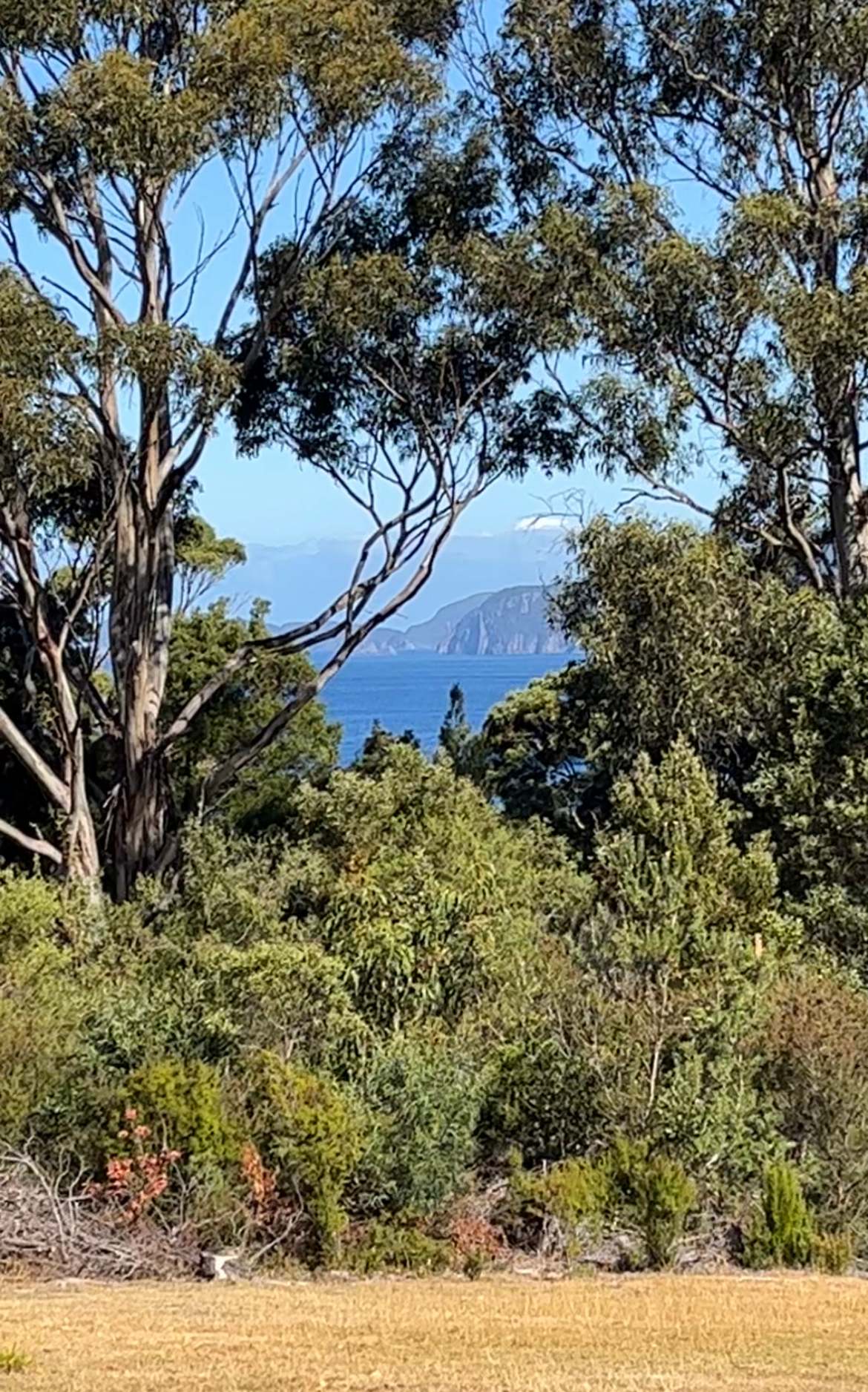 View from the property 