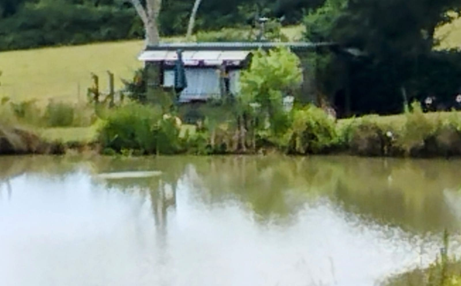Hastingford Fishery Glamping
