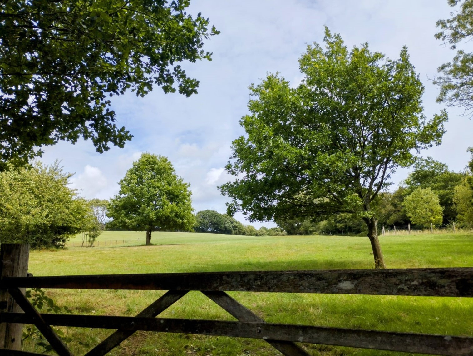 Hastingford Fishery Glamping