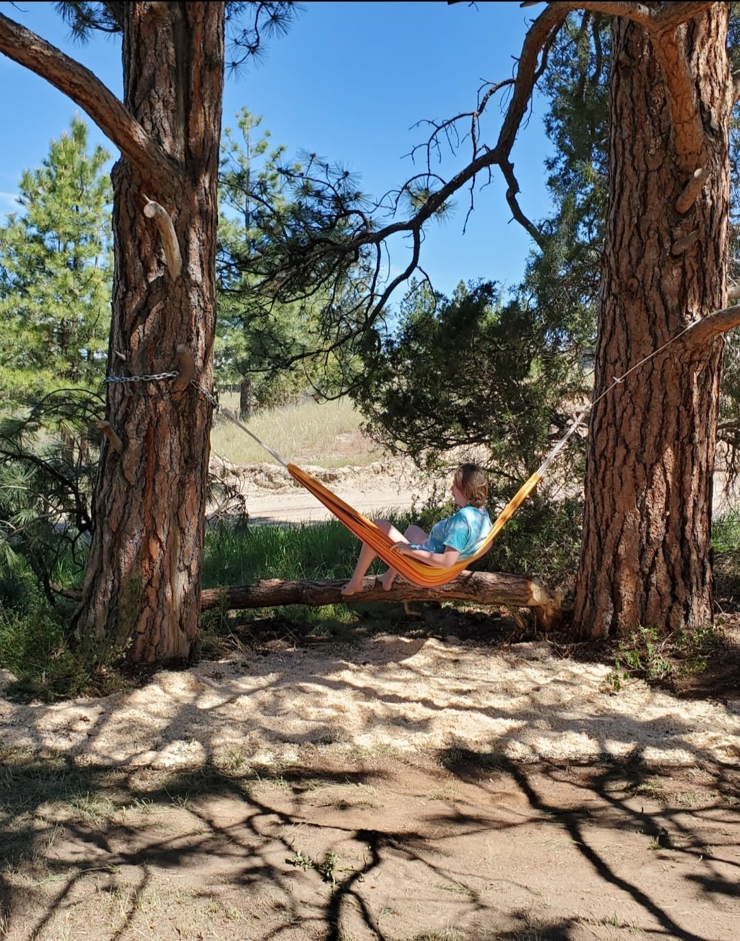 Relax Inn Montana