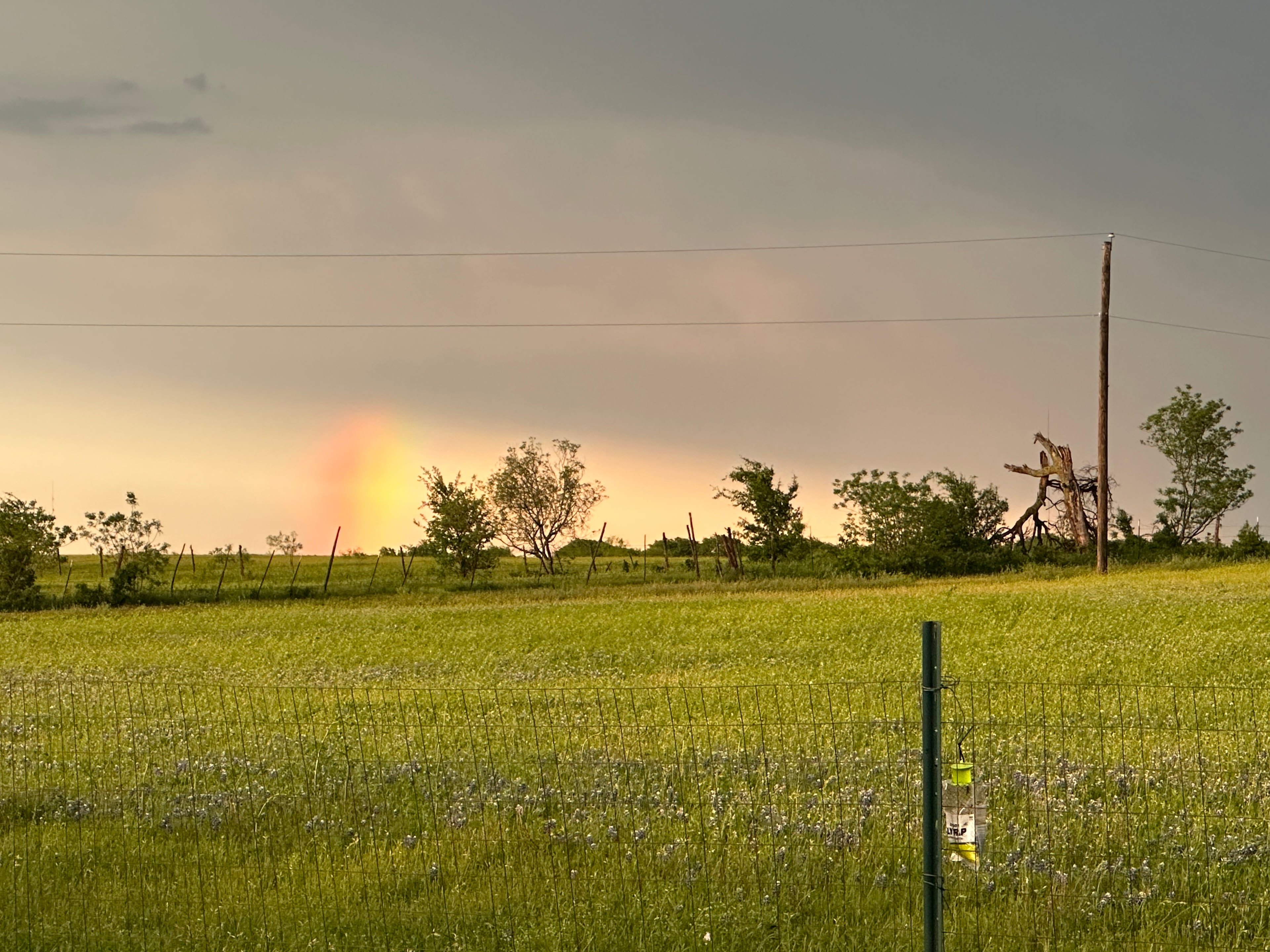 Dark Sky Camping at Waste Not Farm