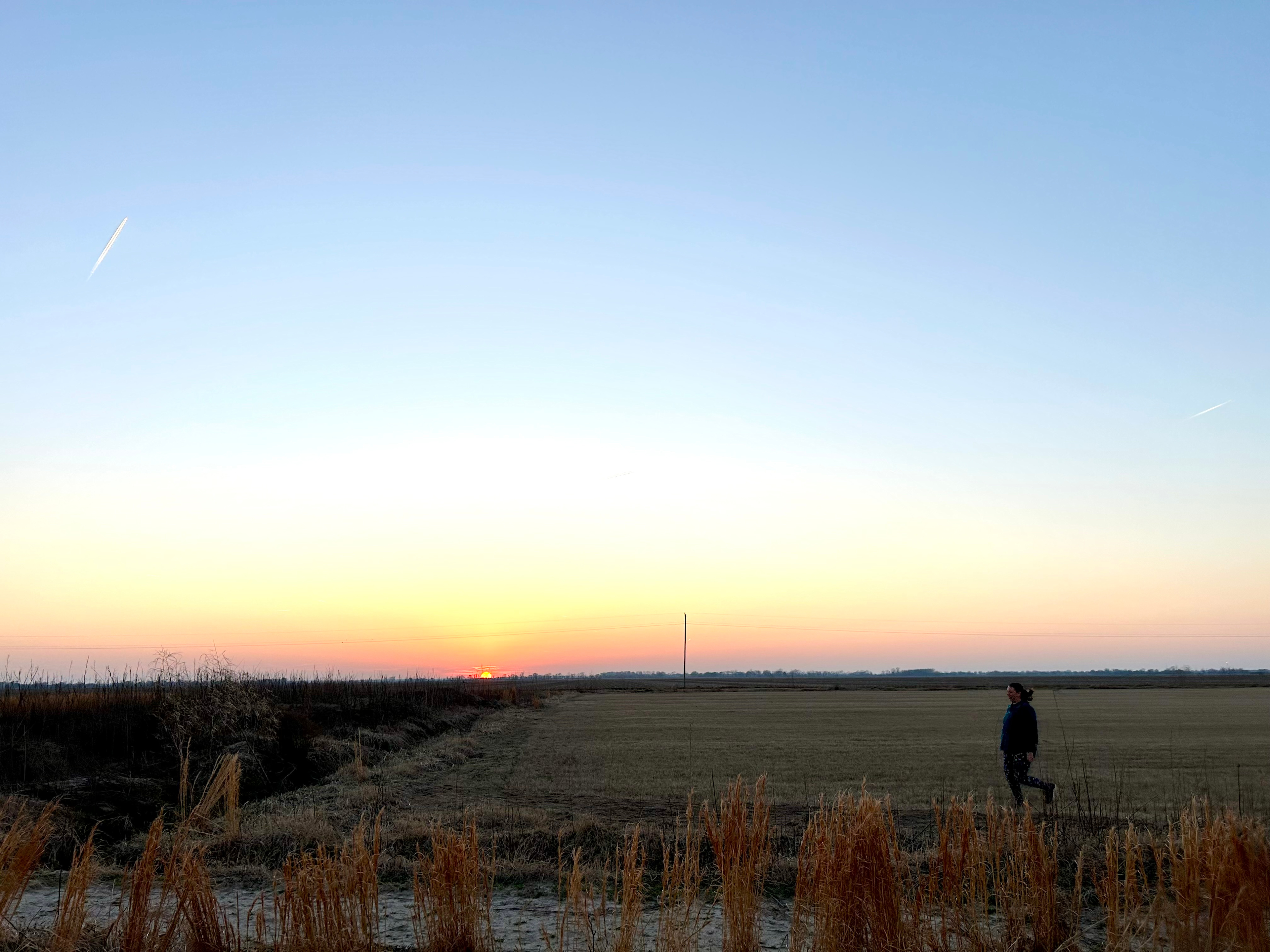 Sunny Flats Farm