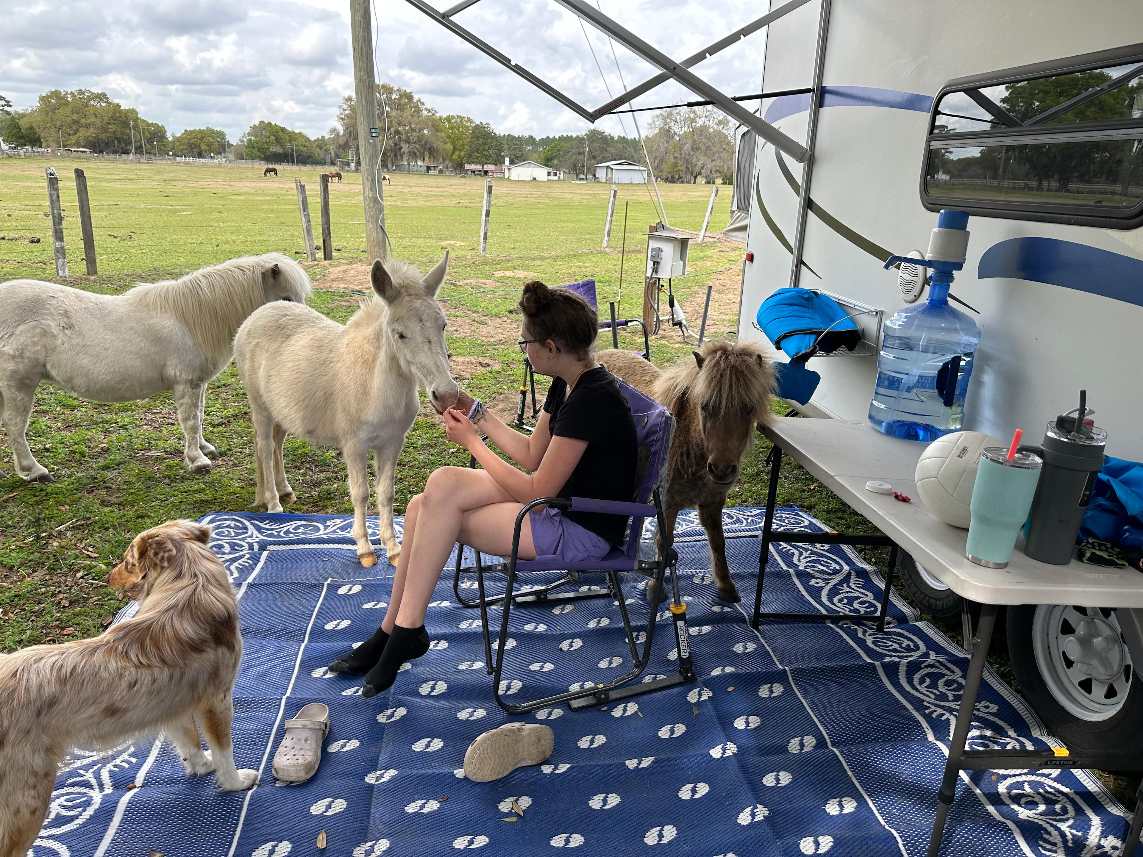 Florida Farm School & Animal Rescue