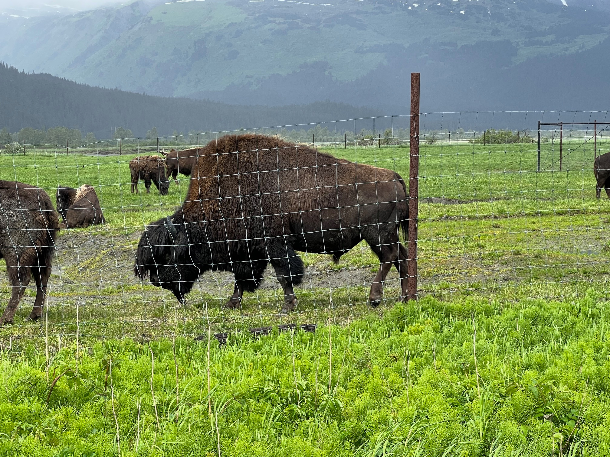 Albatross Campground RESERVATIONS