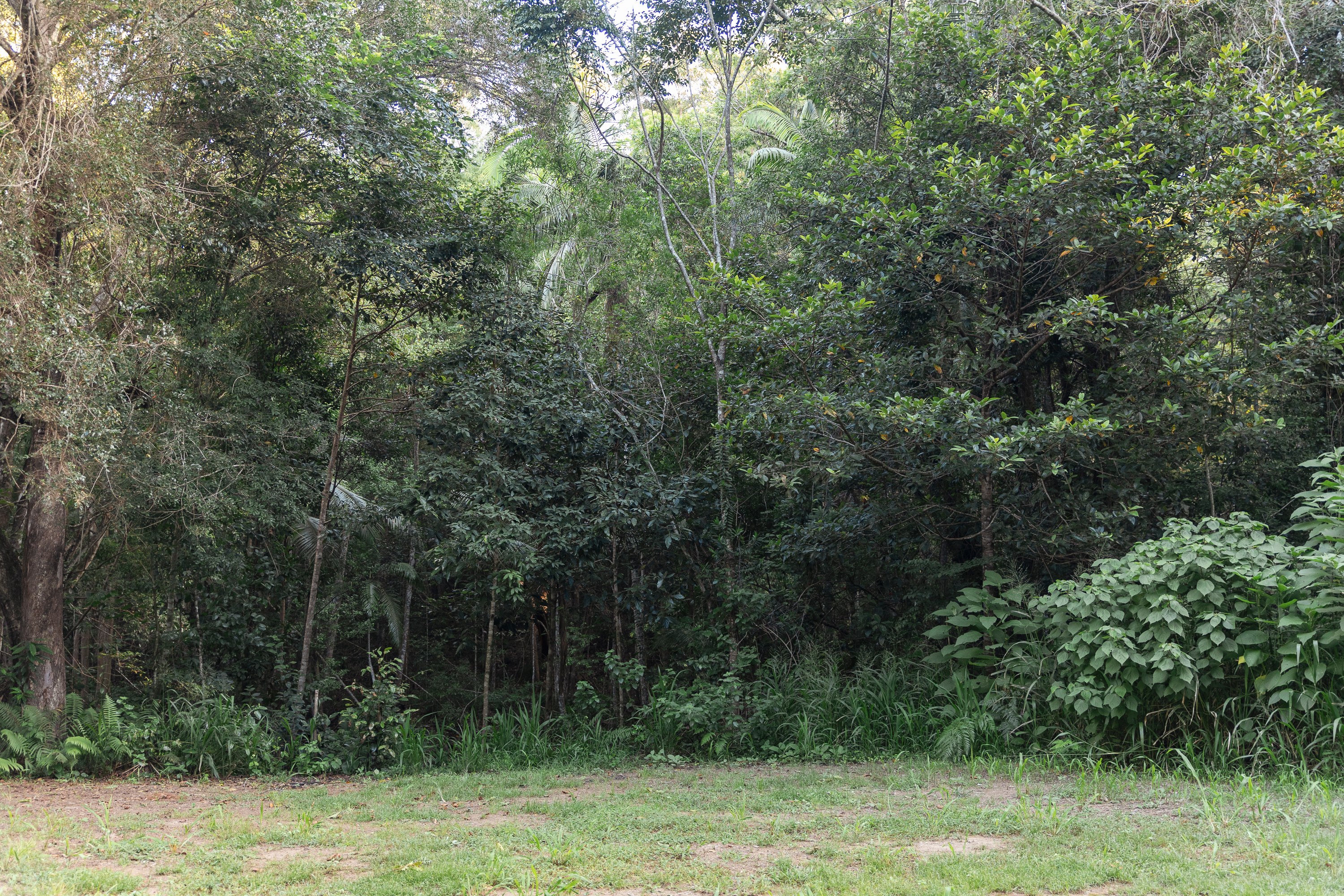 Browns Creek Camping