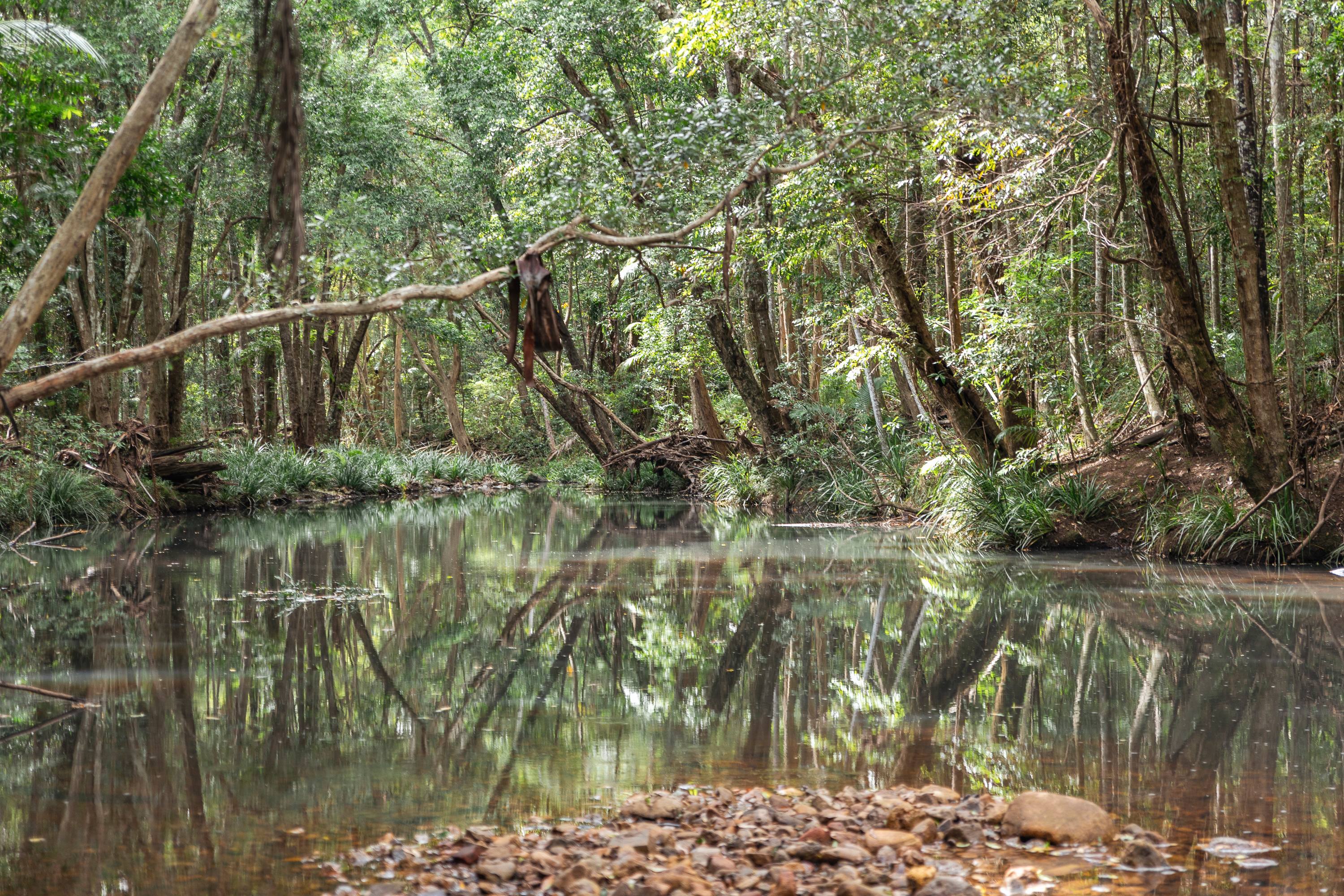 Browns Creek Camping