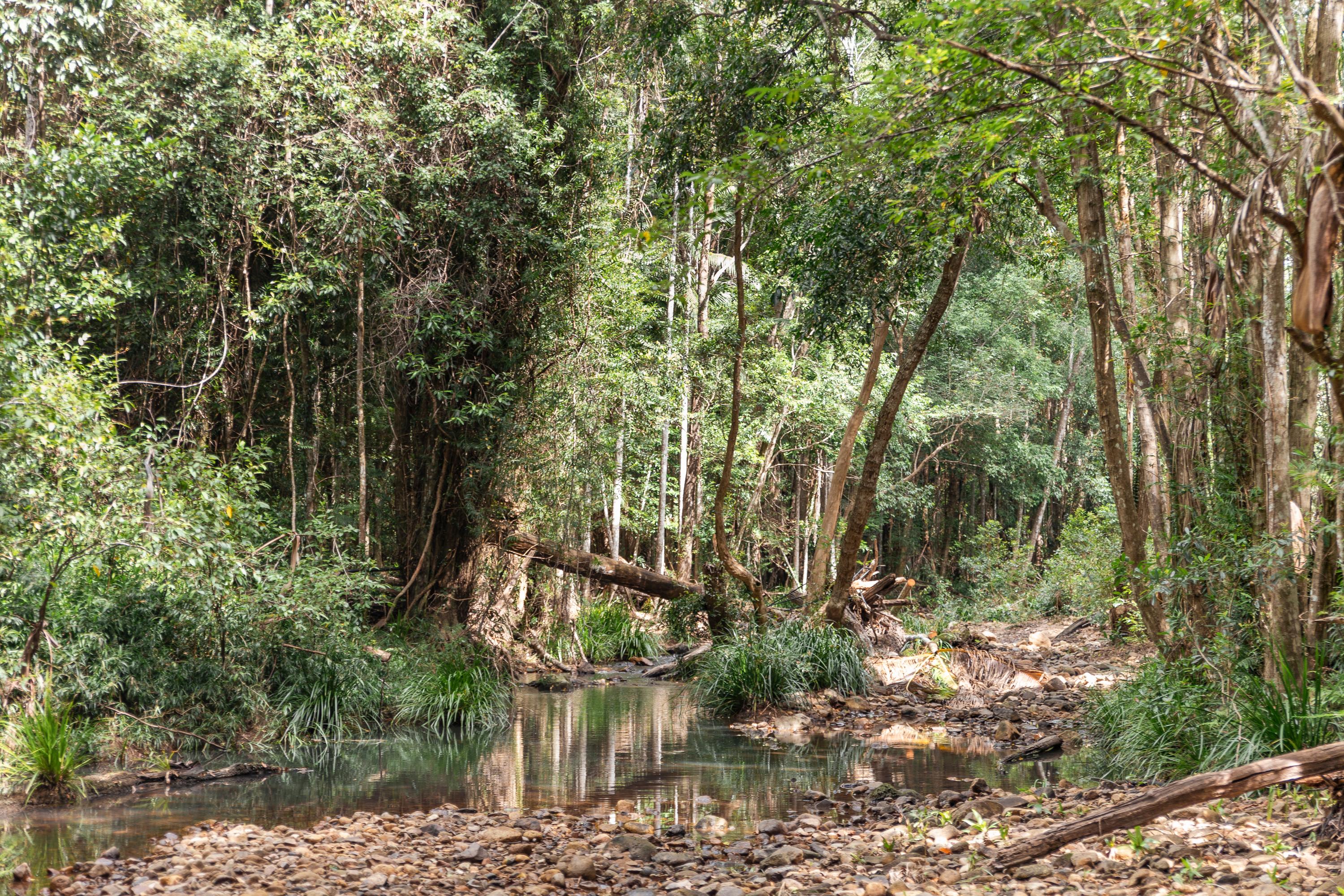 Browns Creek Camping