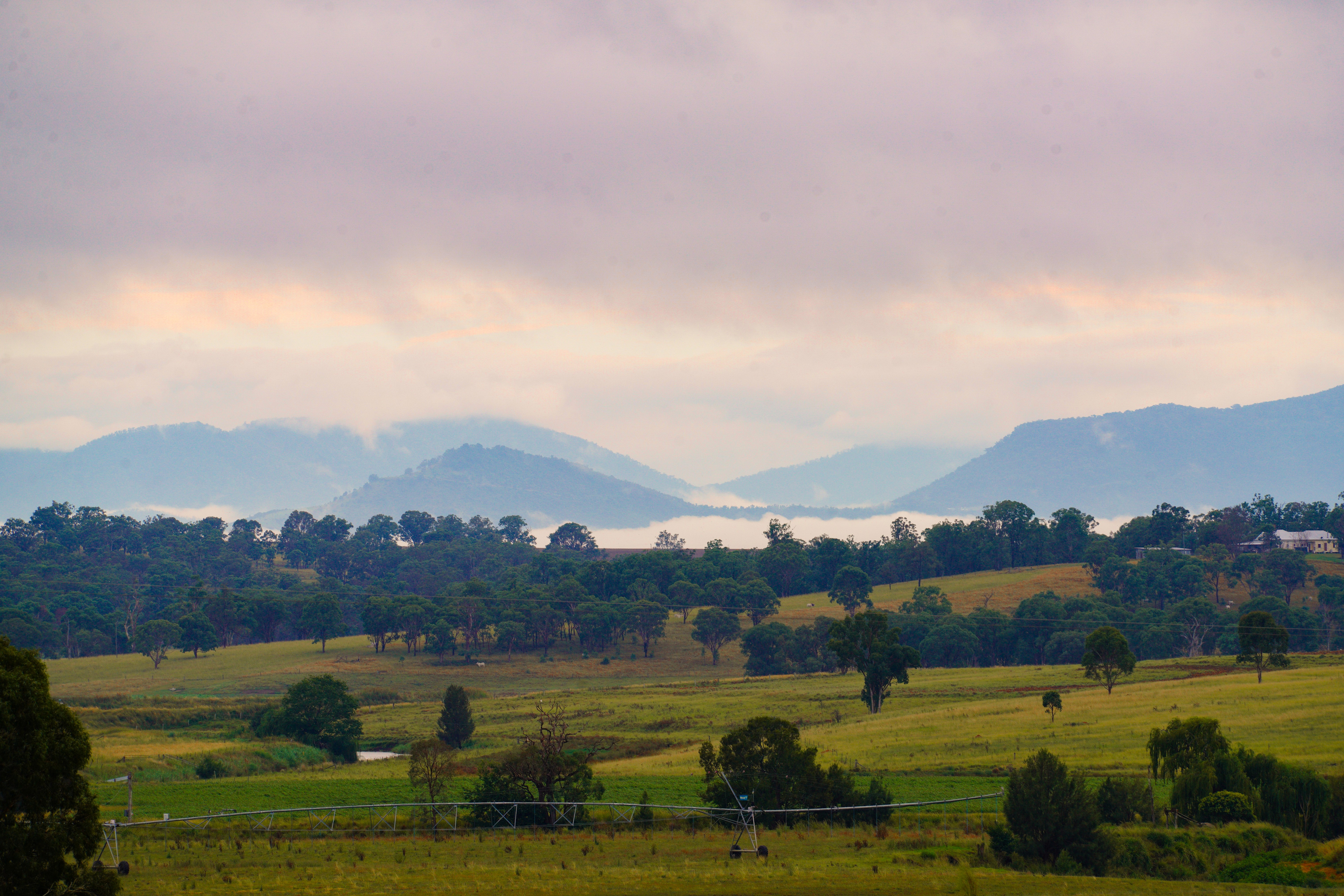 misty morning views