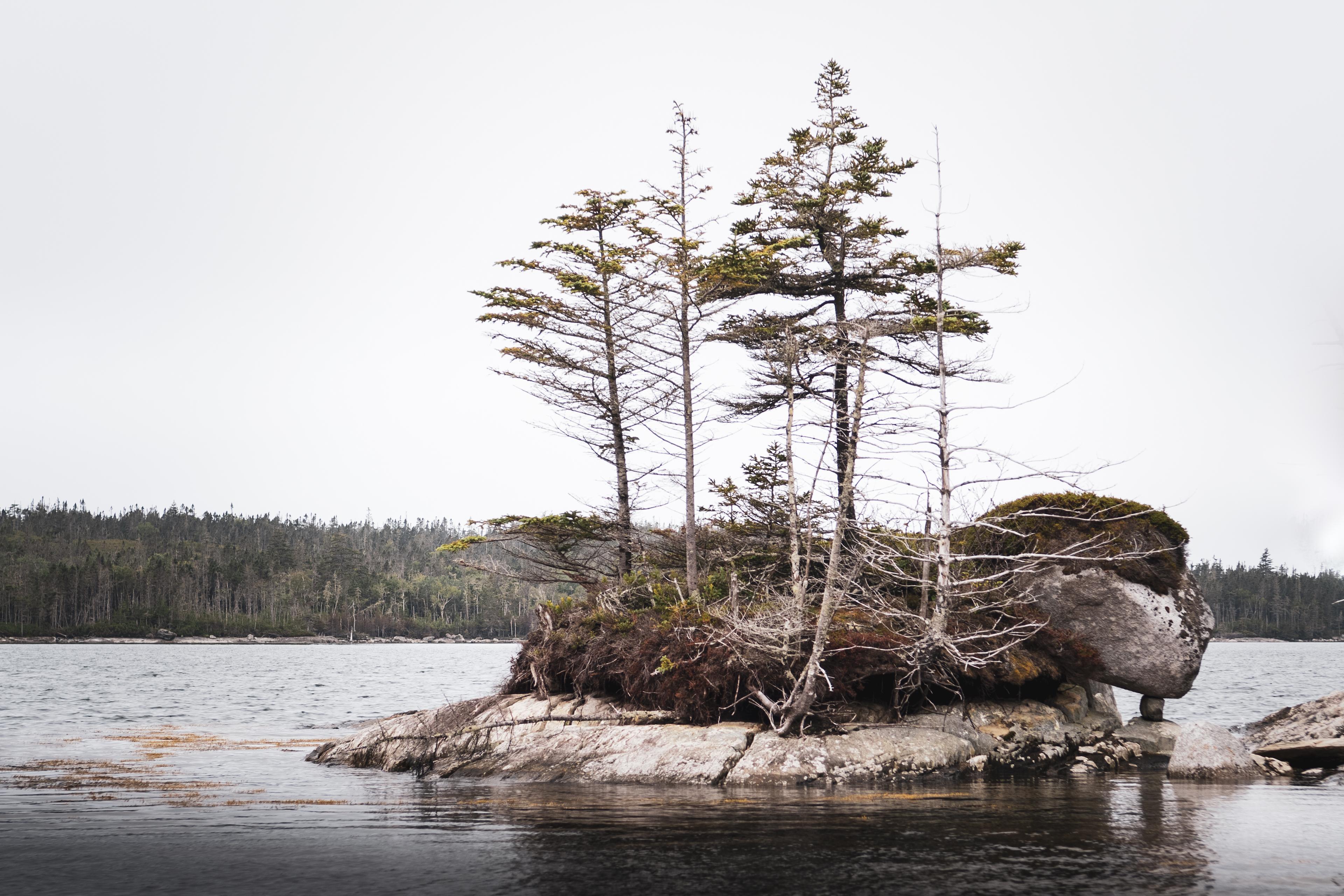 Murphy's Camping on the Ocean