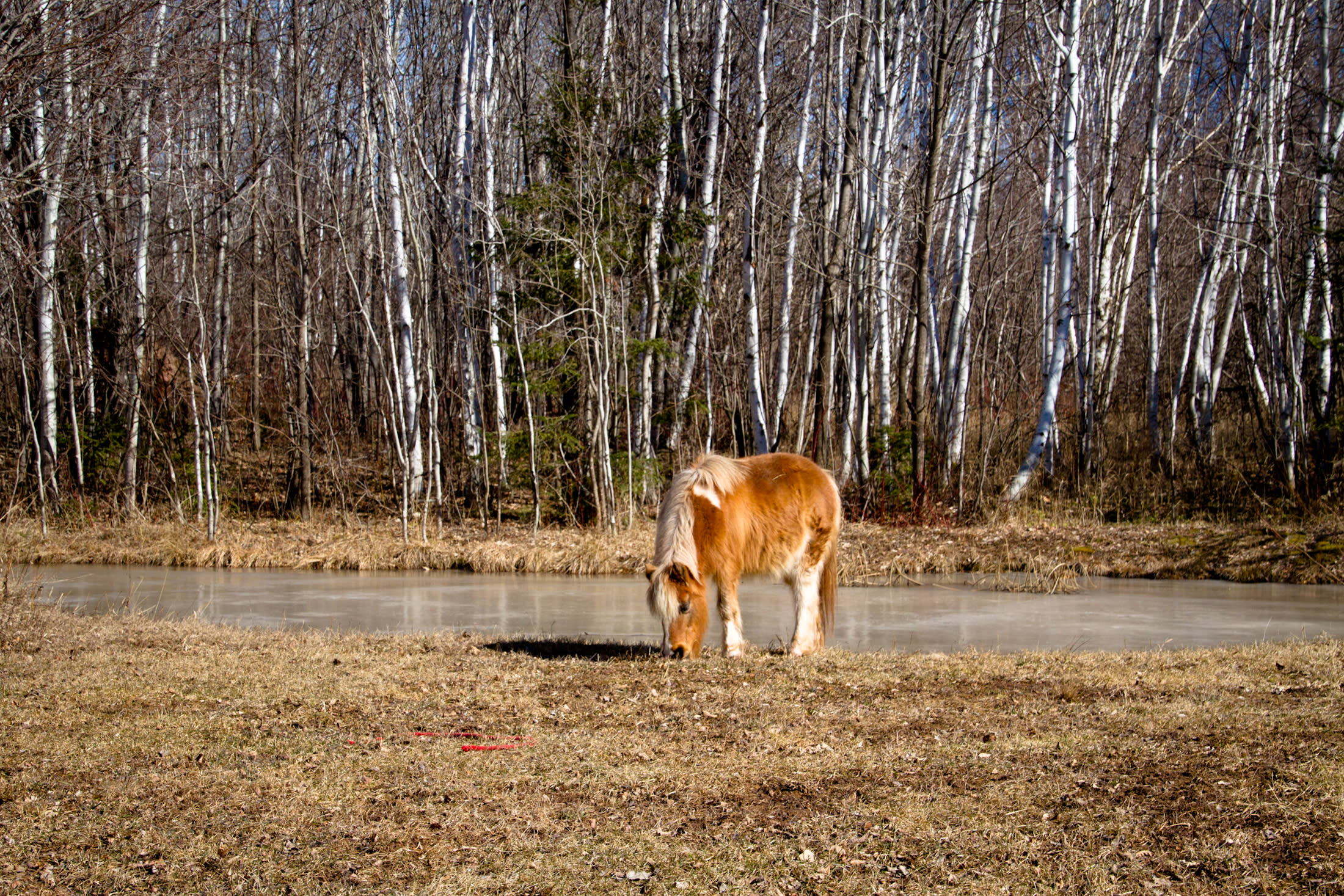 'Old World' Farm By Lake Superior
