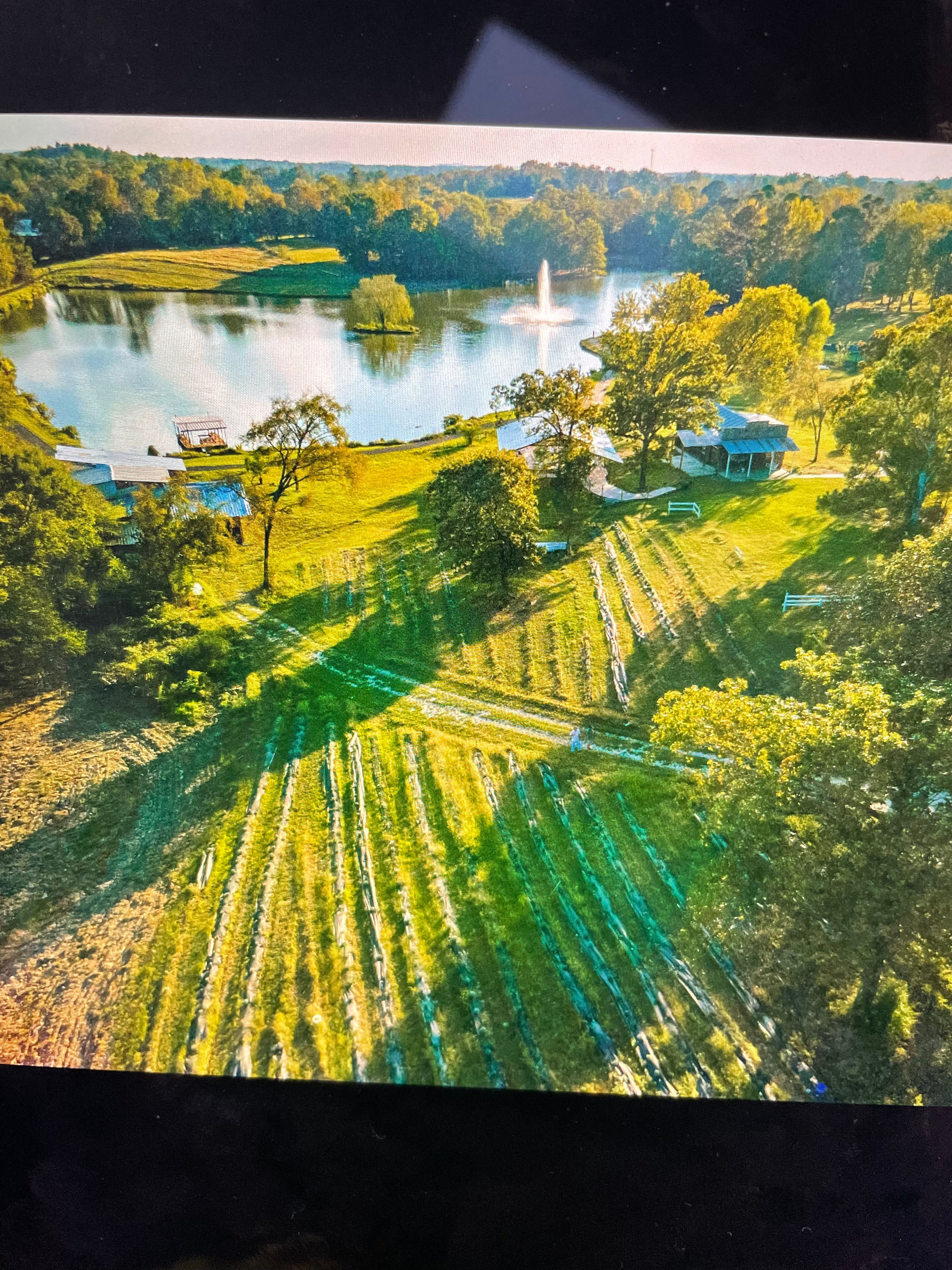 Lake Banoe Lavender Farm