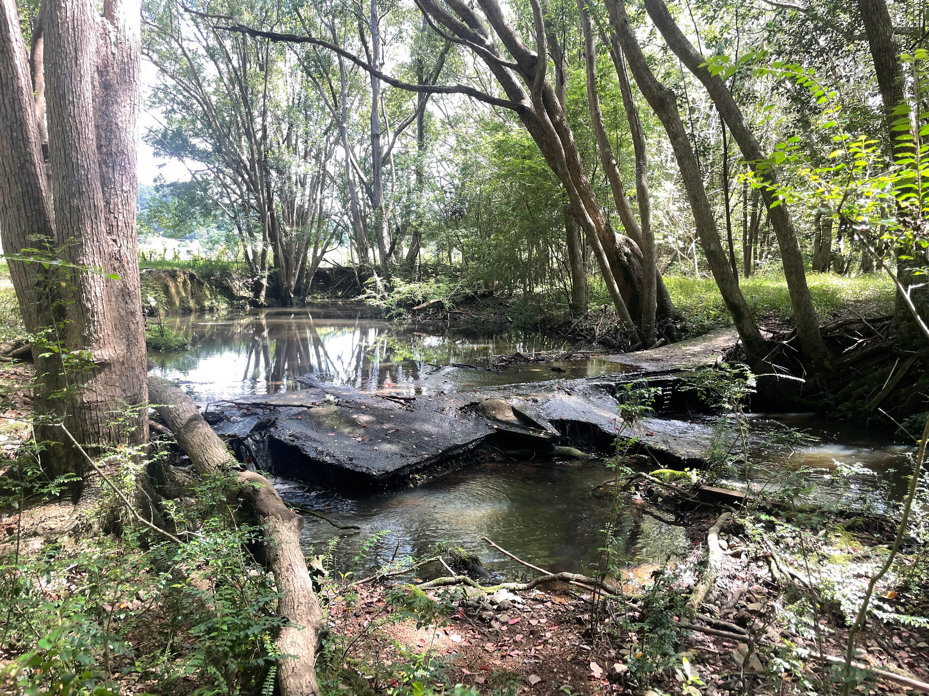 Paradise in The Pocket