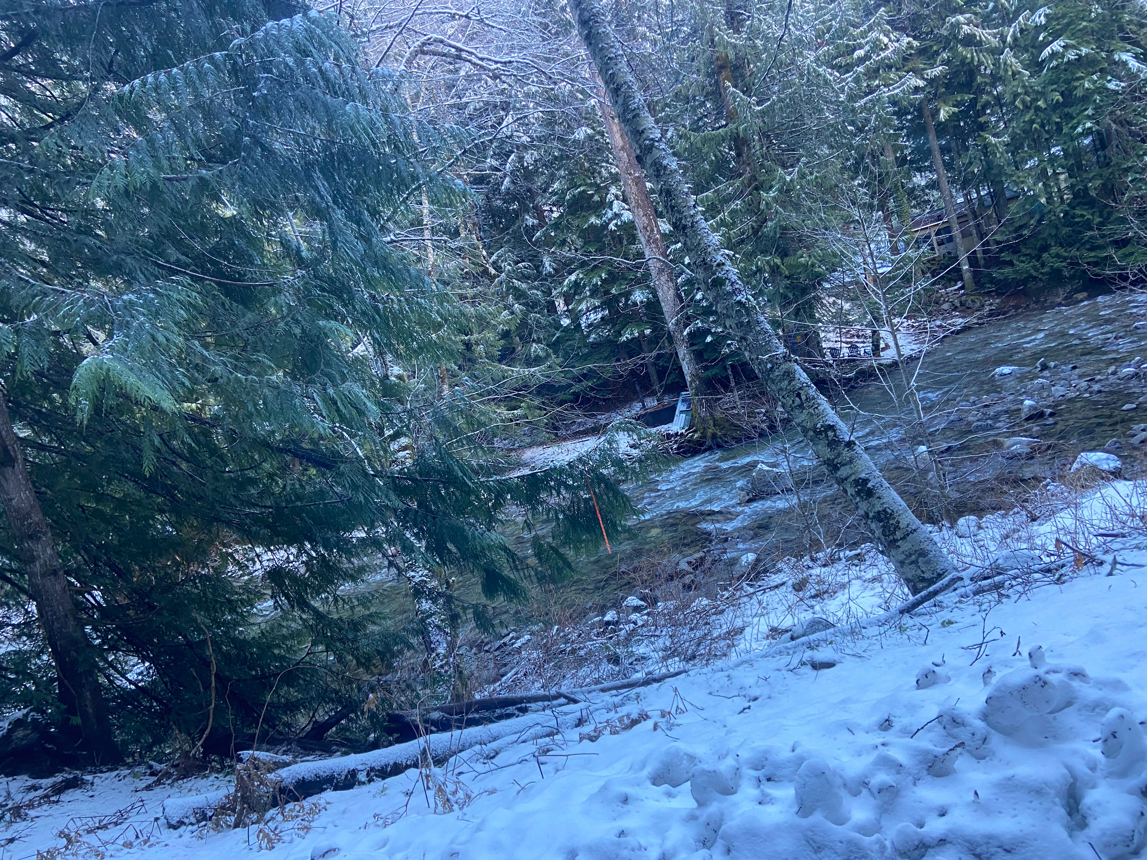 Timber Ridge Ranch @ Falcon Cove