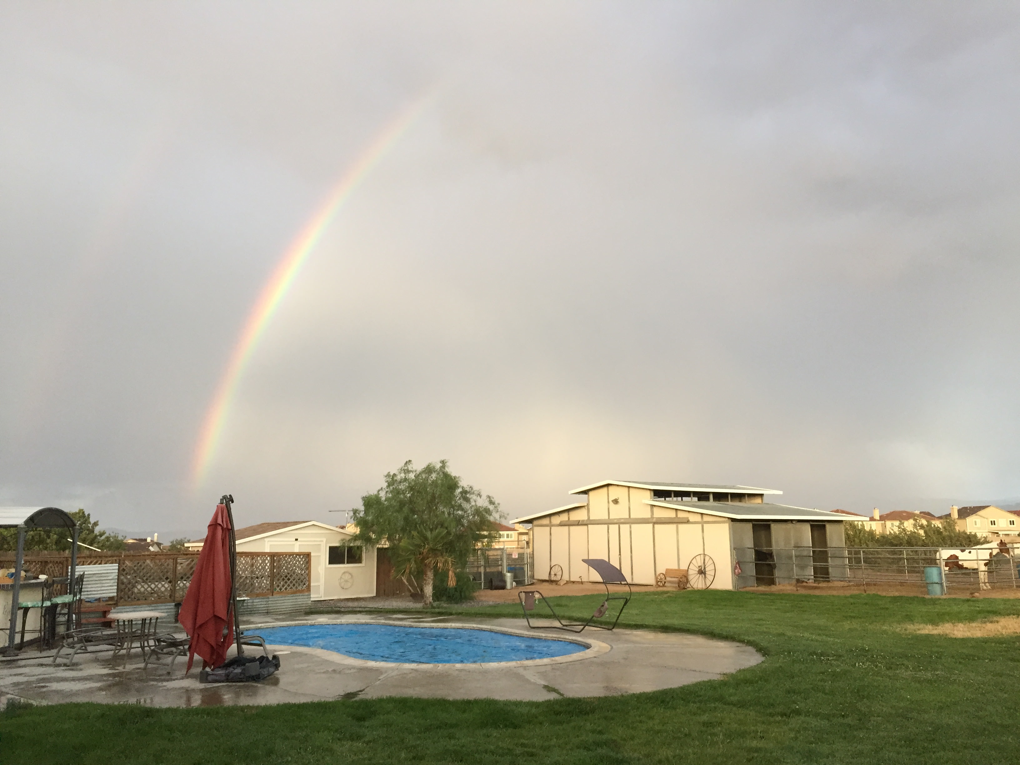 Wild Wind Ranch
