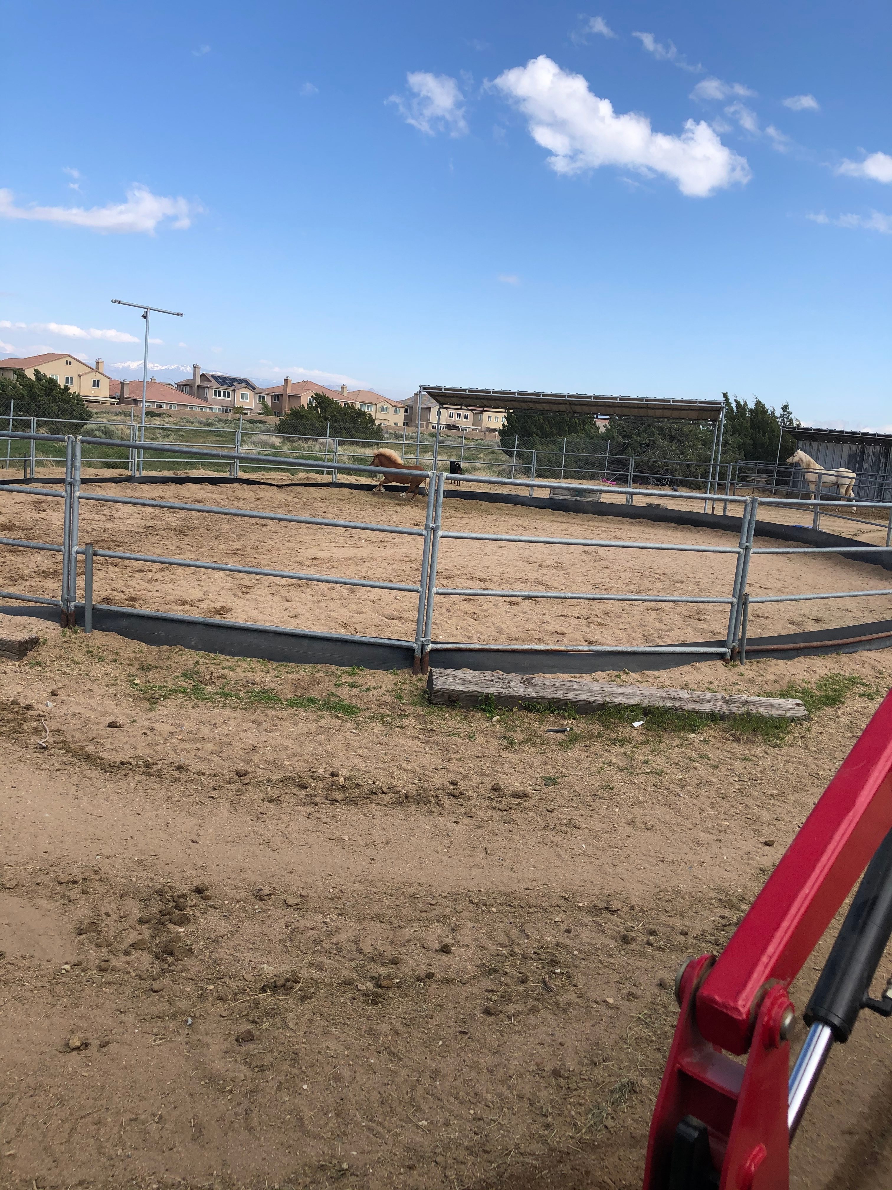 Wild Wind Ranch