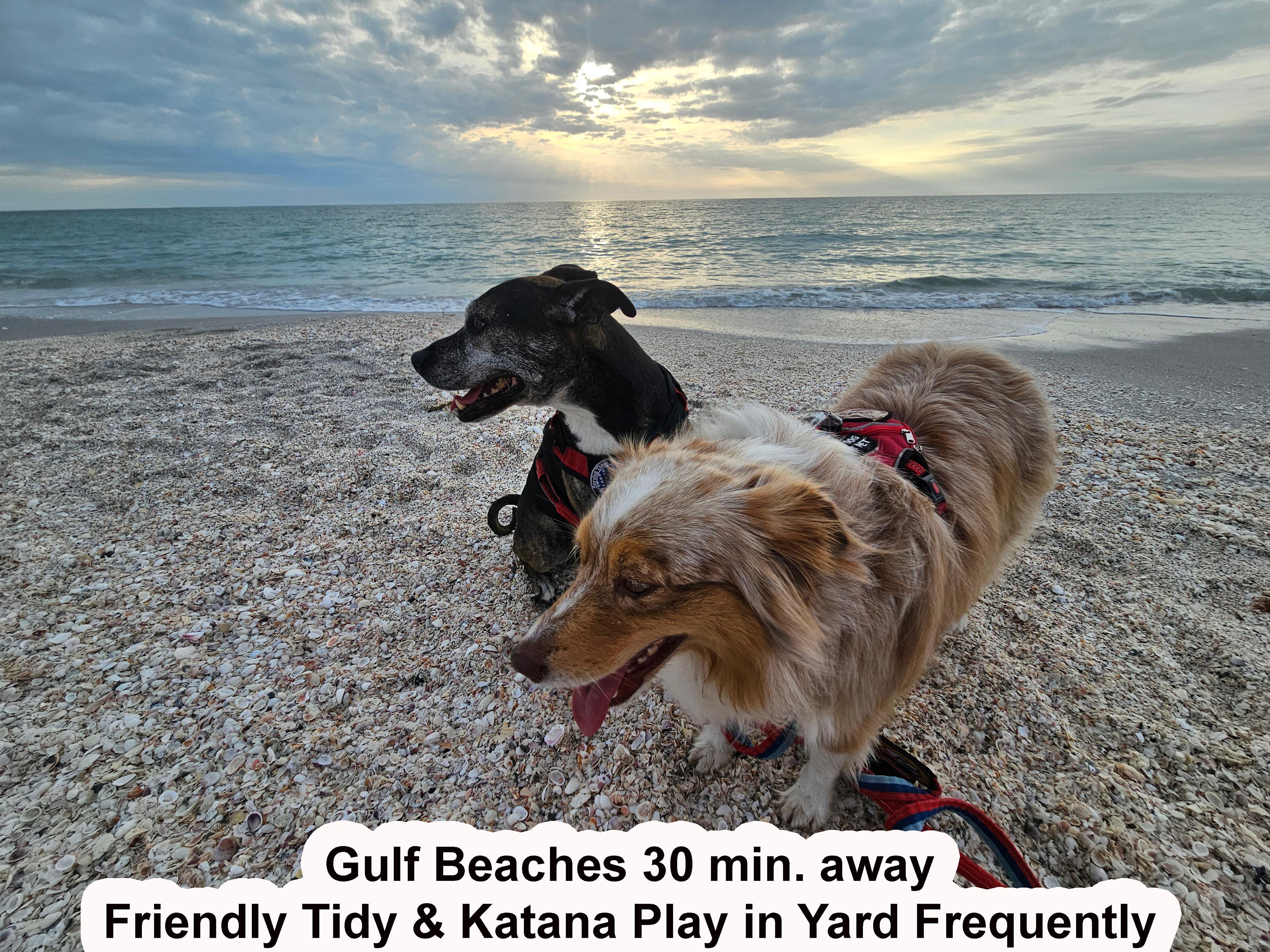 Scenic Waterway [NOT Active]