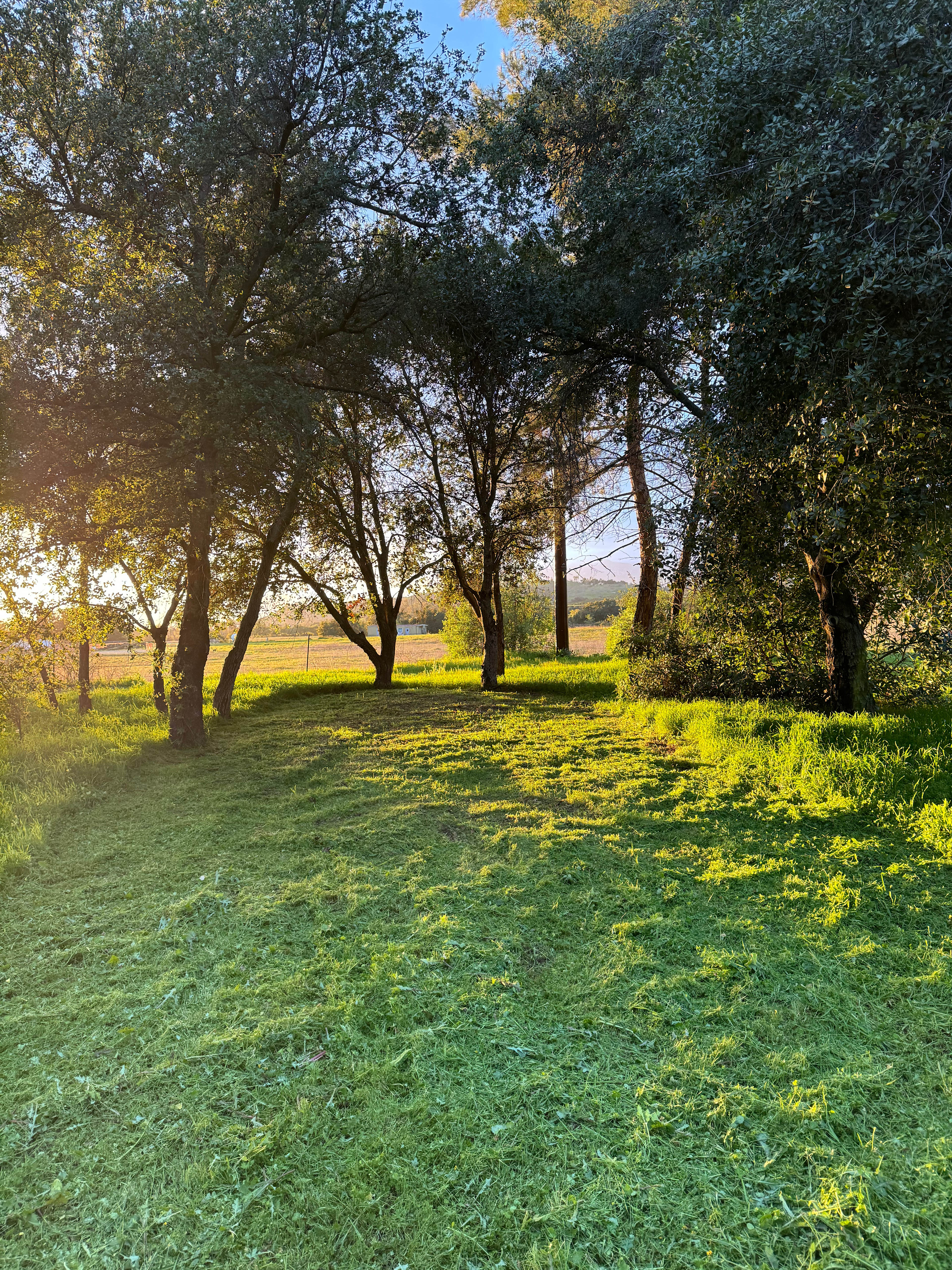 Park At Tar Creeks Ranch