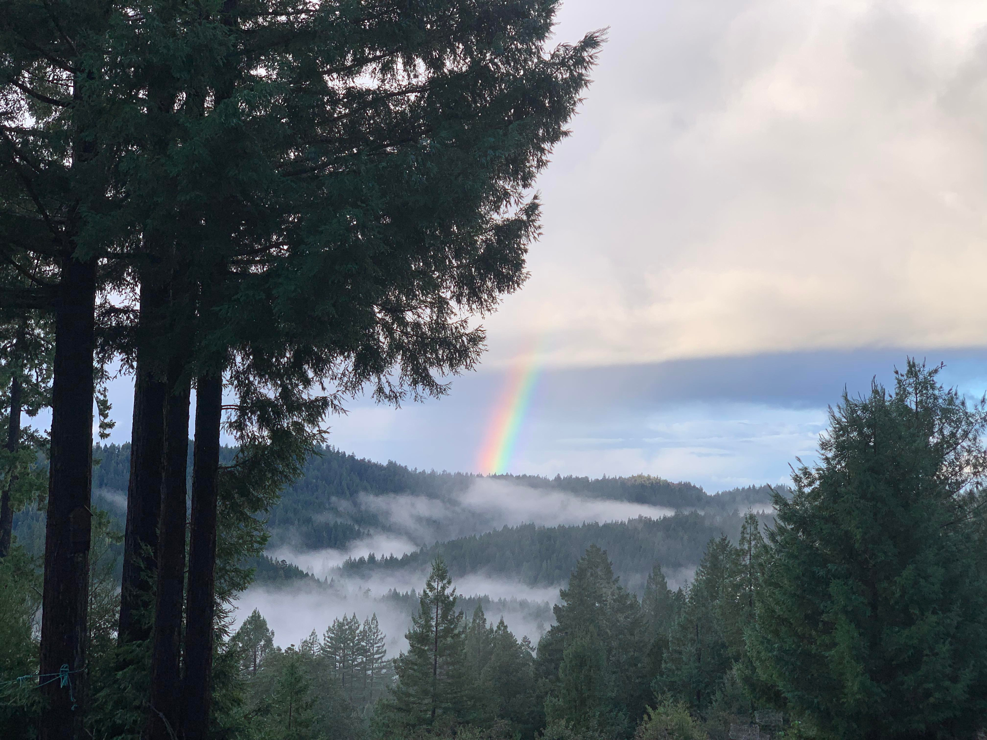 View from our house