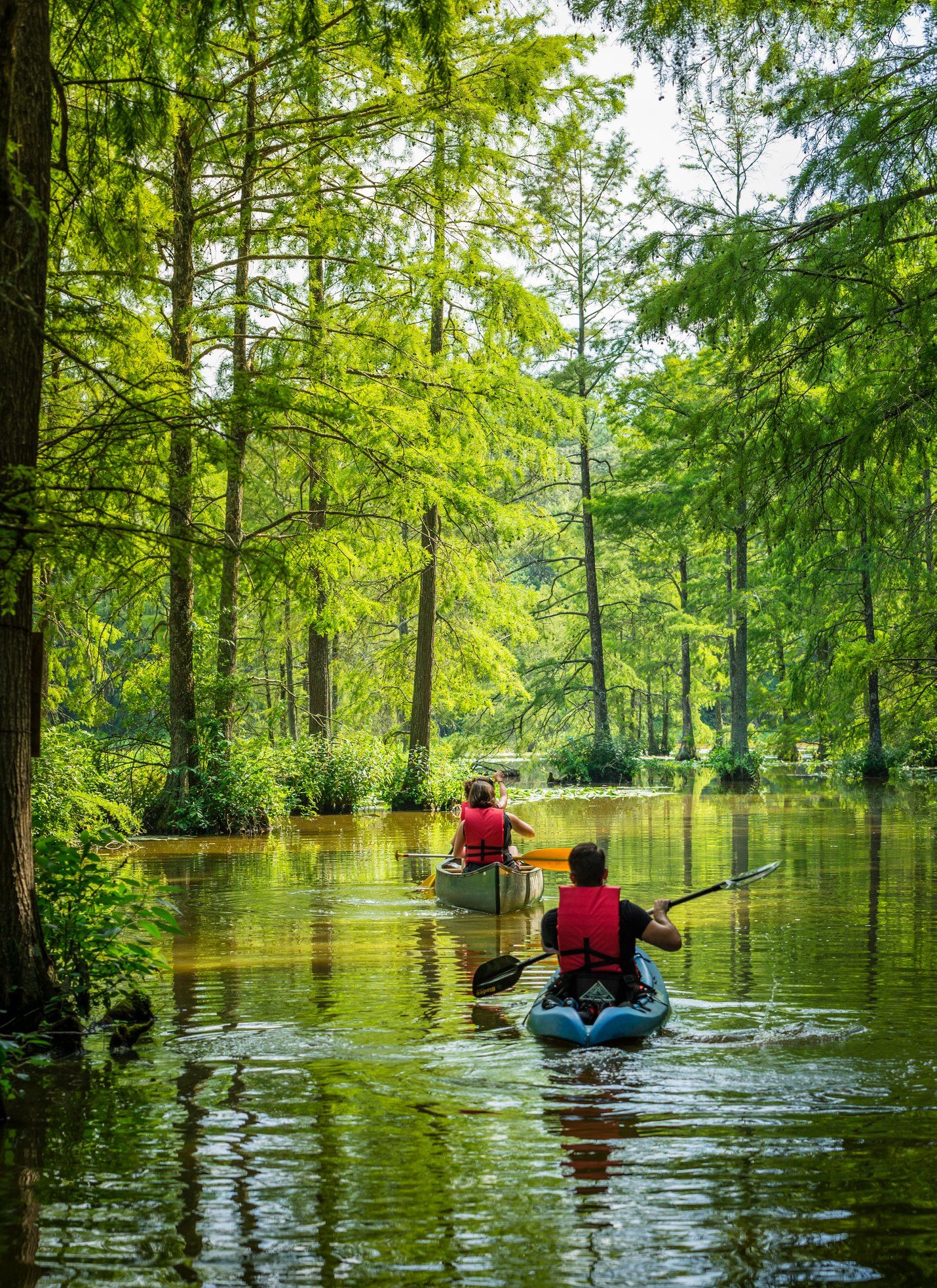 Adventure on Lake Atkins!