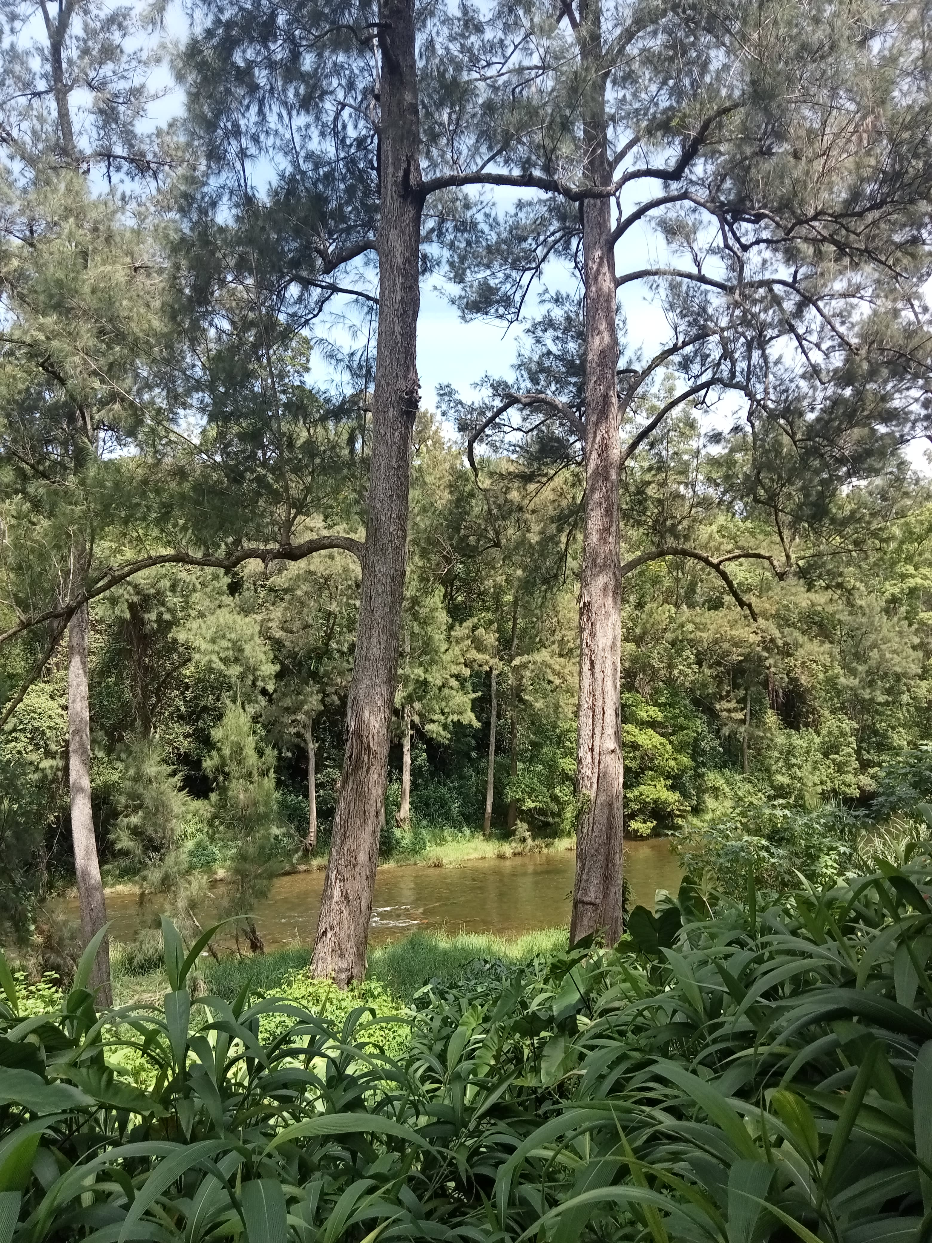 beautiful swimming spot viewable and easily accessible from communal kitchen/dining space 