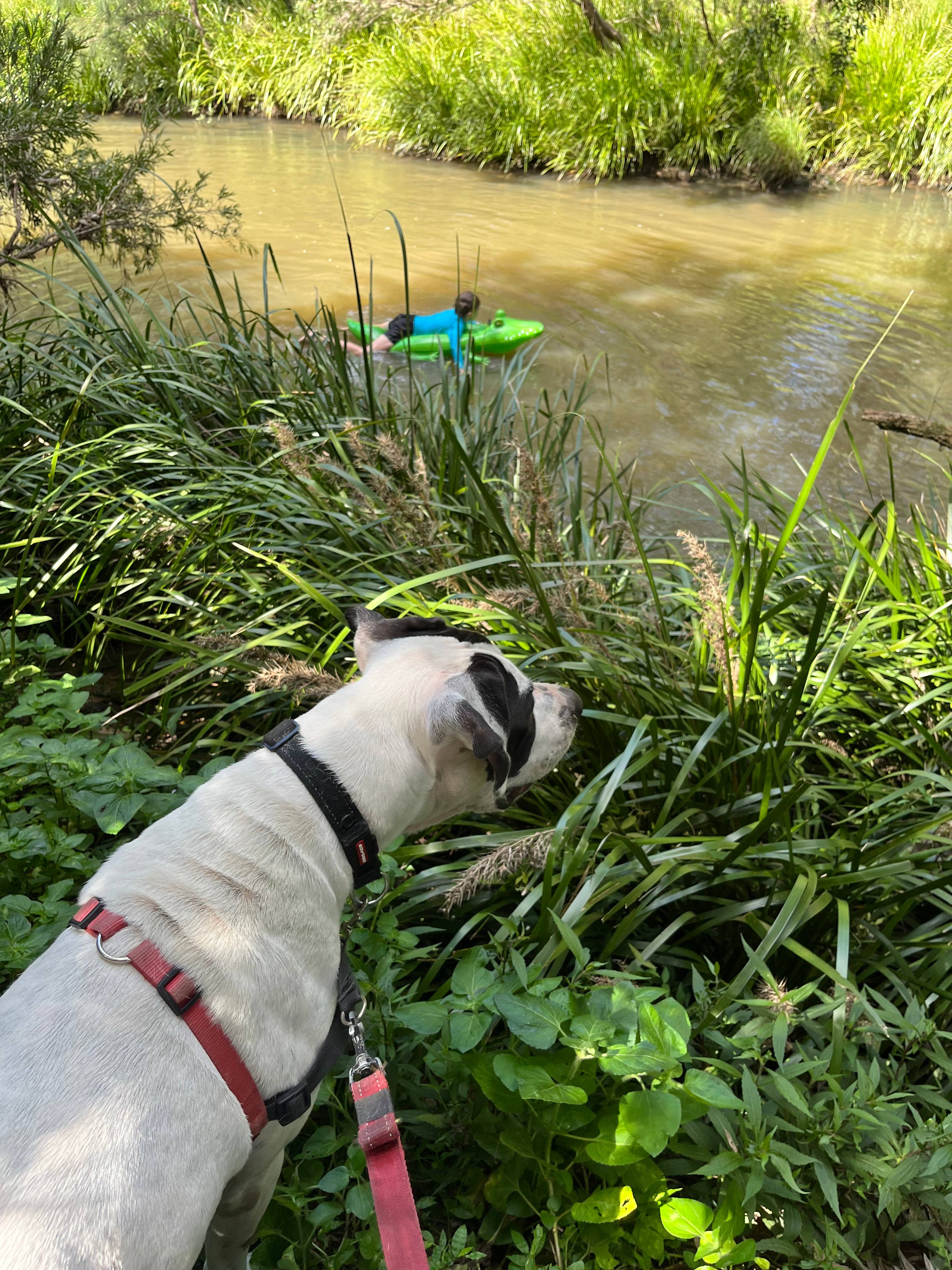 Jugari Riverside Camp