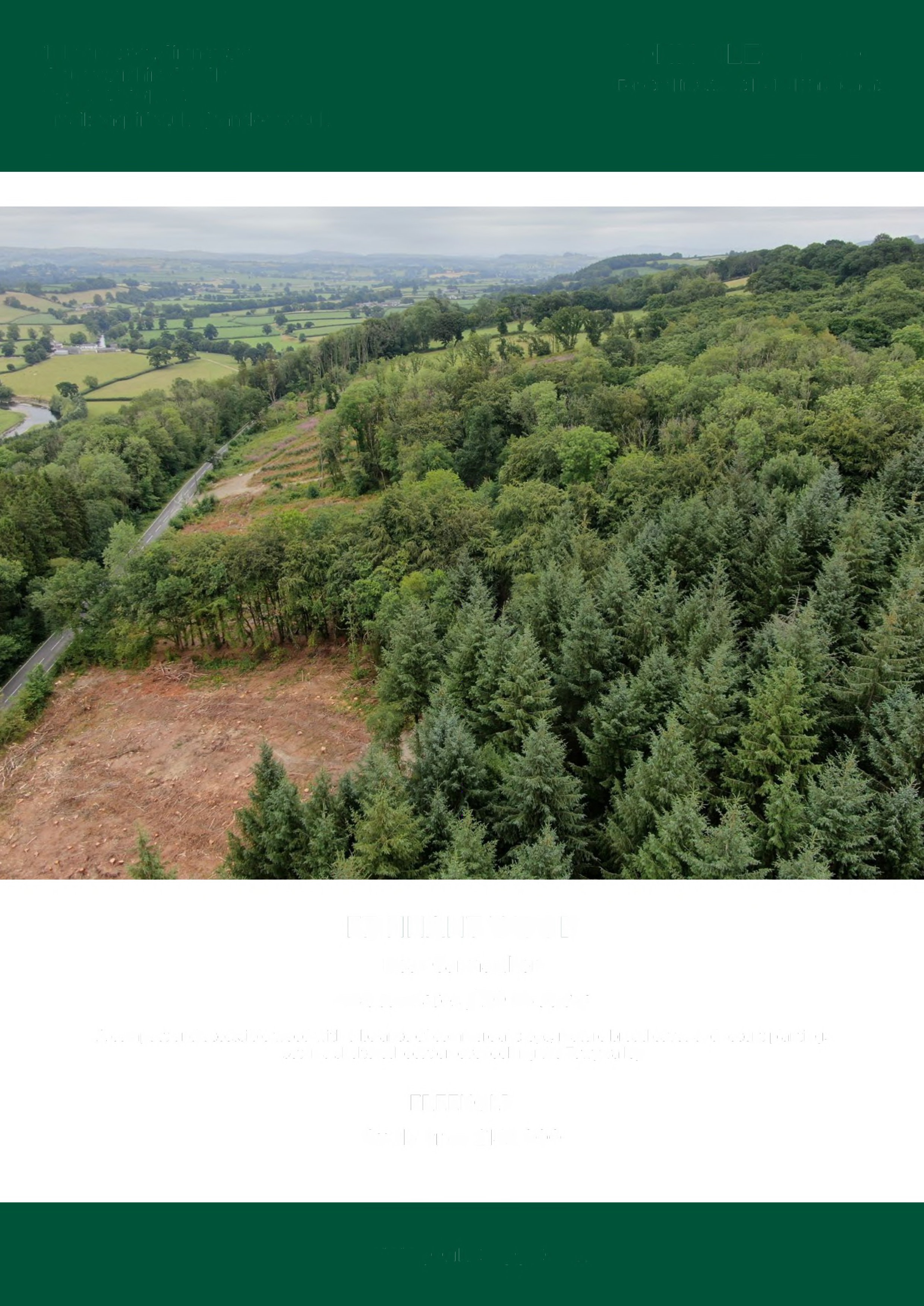 Finnant Wood Wild Camping