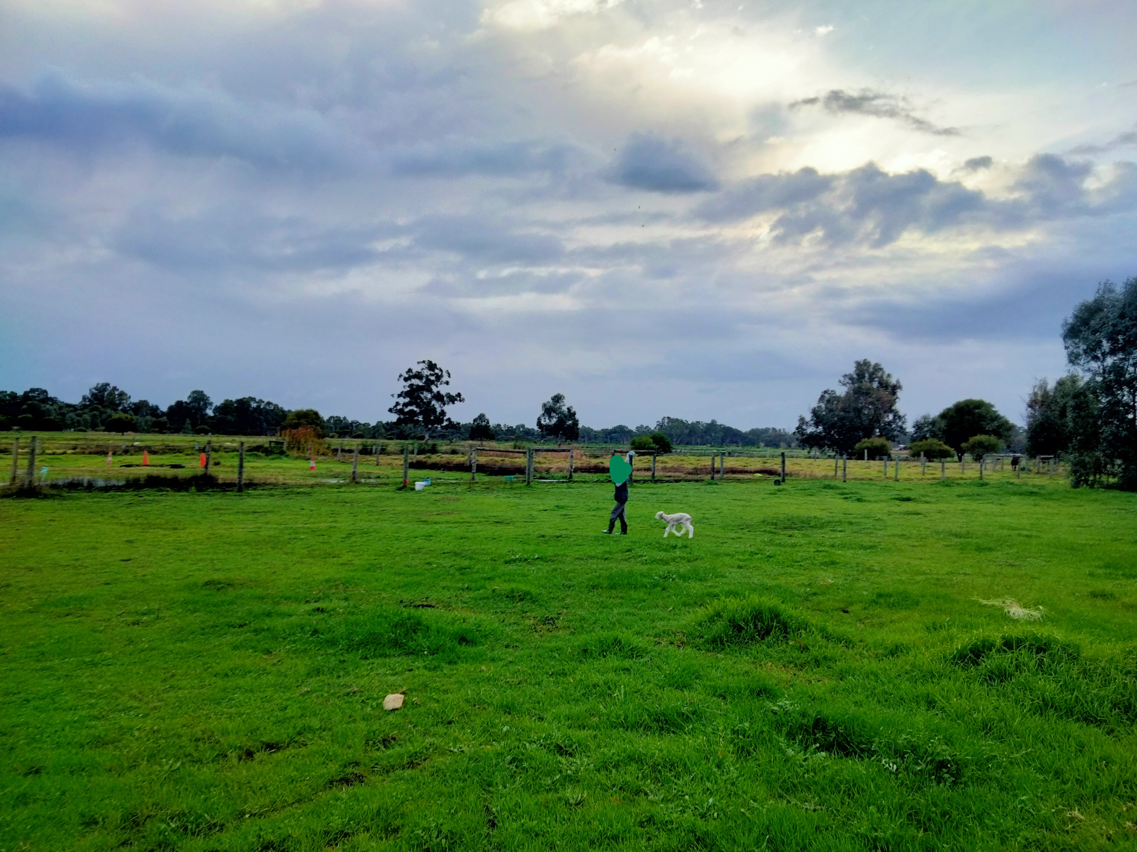 Freedom Farmstay - Baldivis Rural