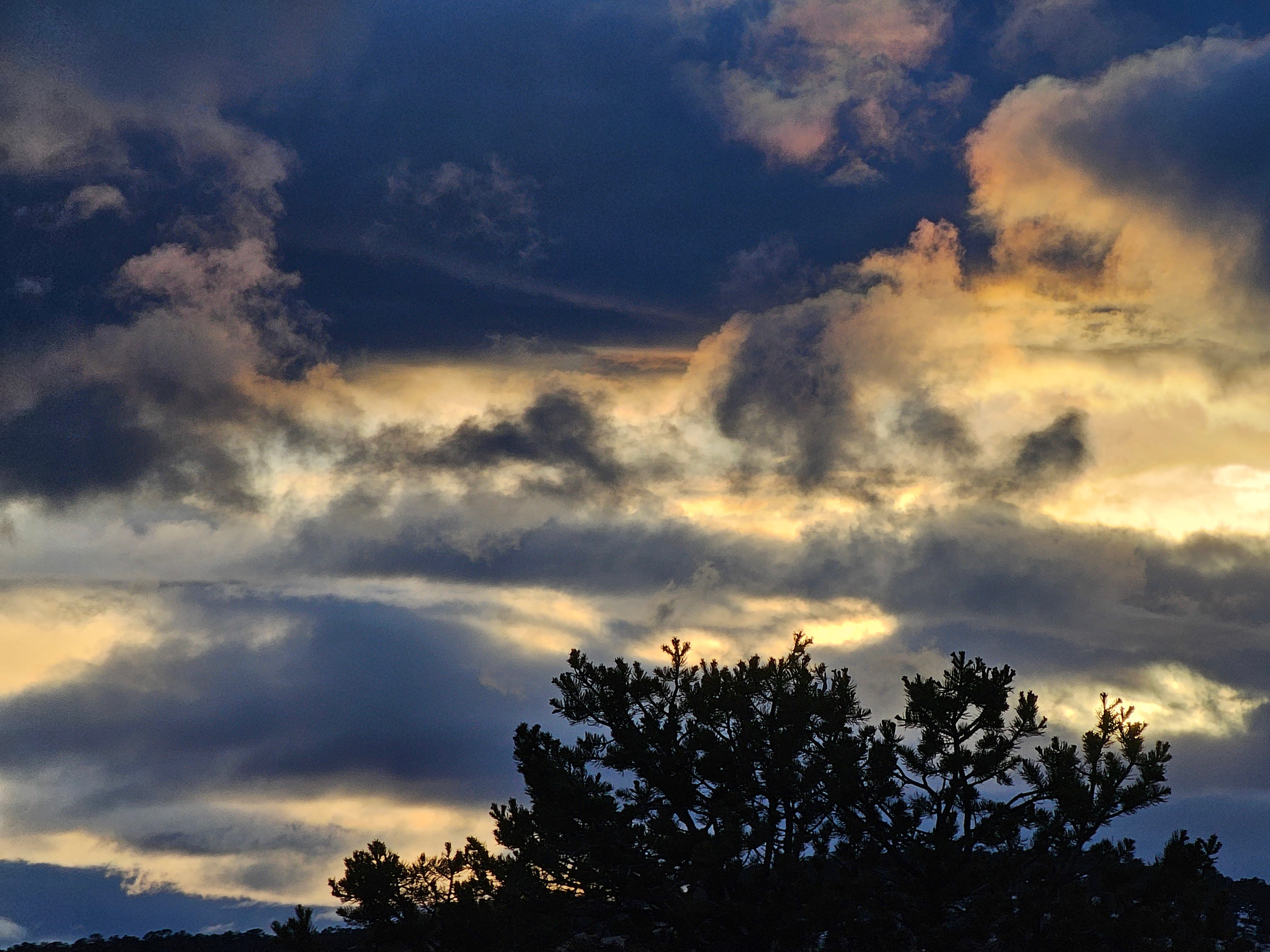 Hills of High Country