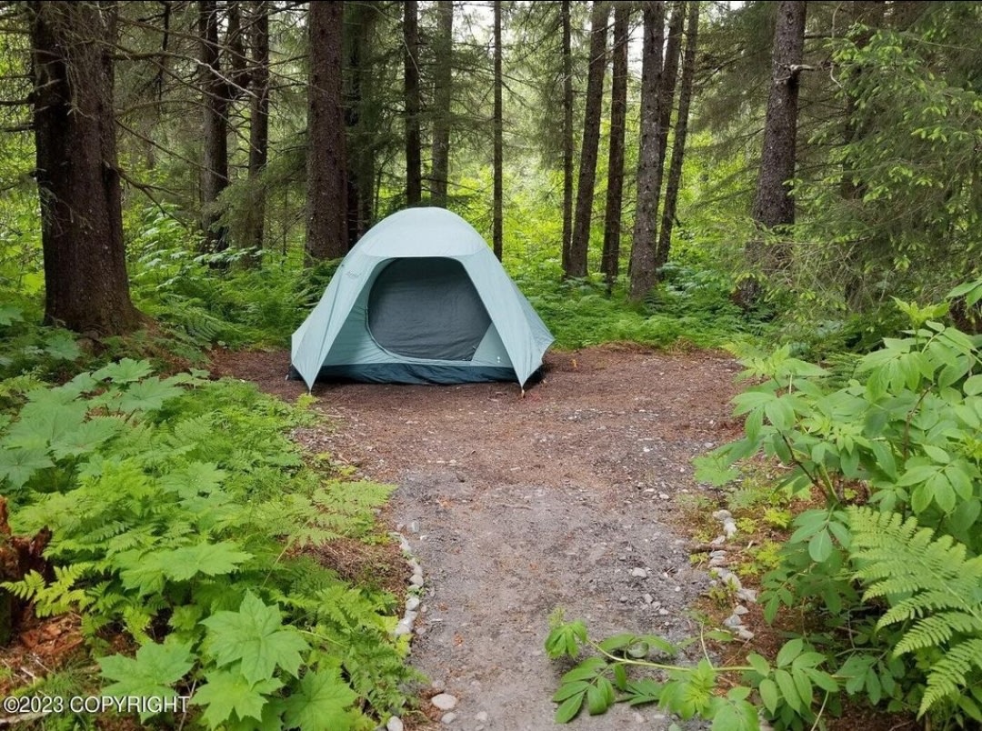 Bear Necessities Cottages