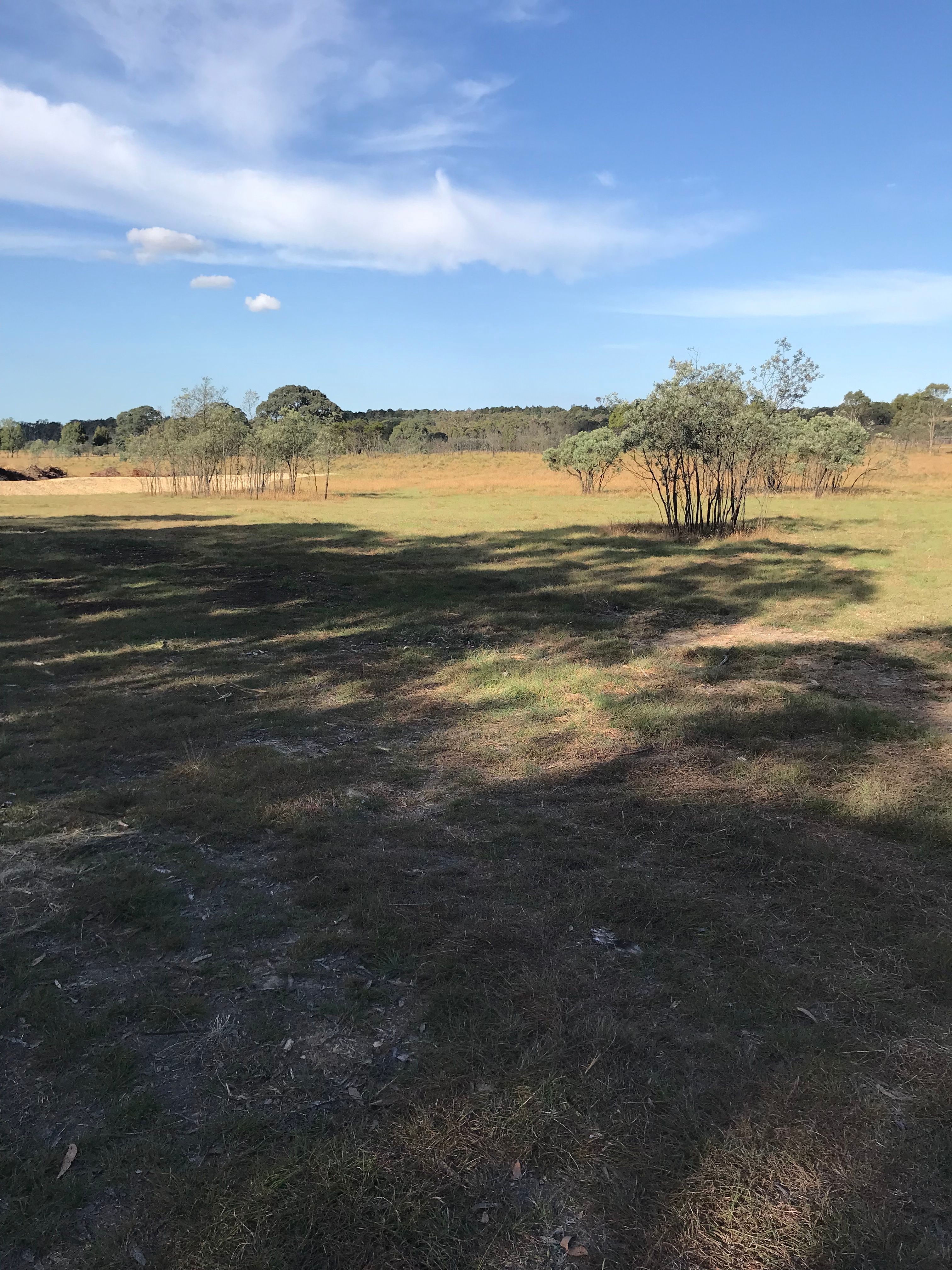 Miranda Springs Farm Stay