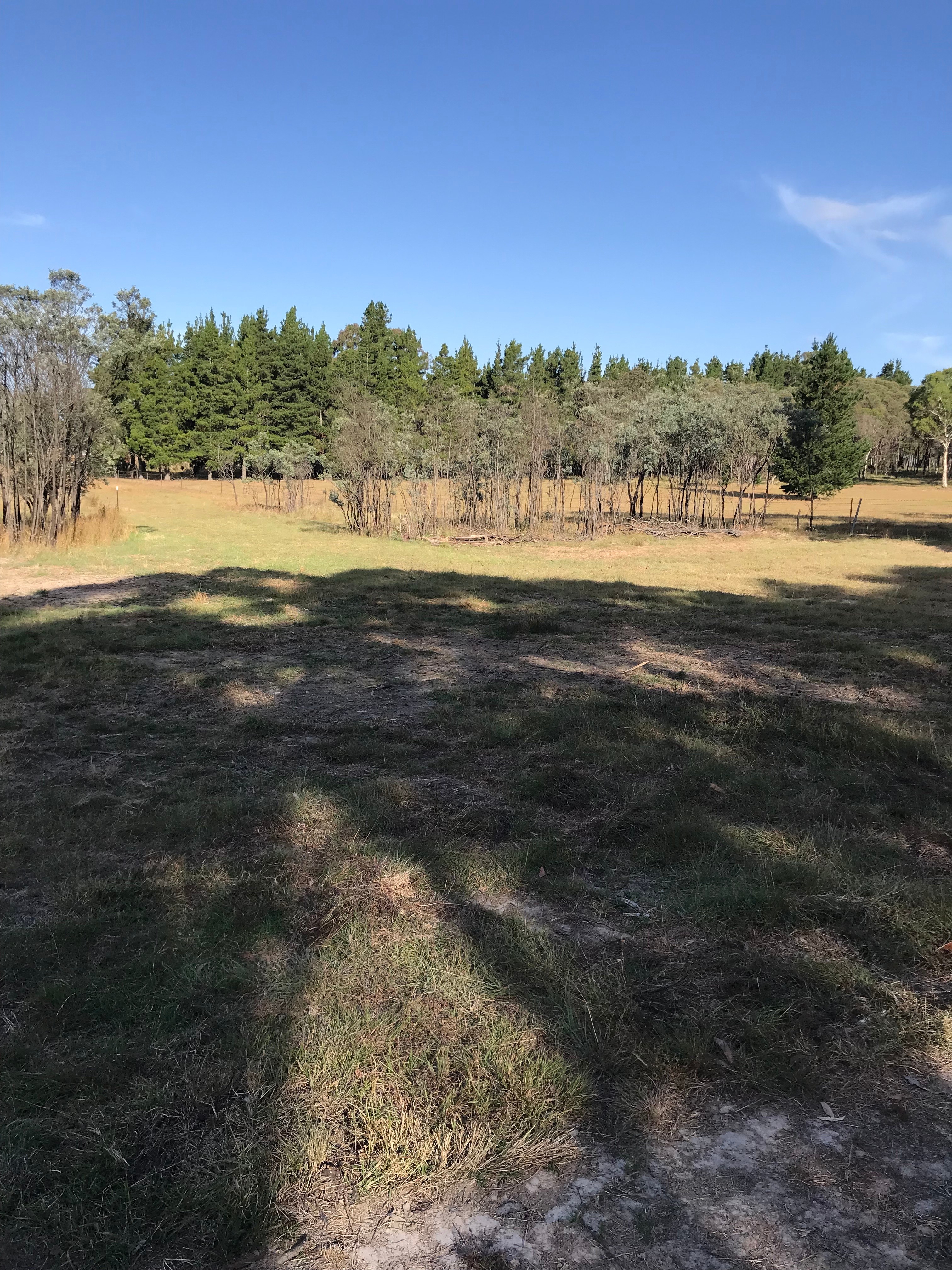 Miranda Springs Farm Stay