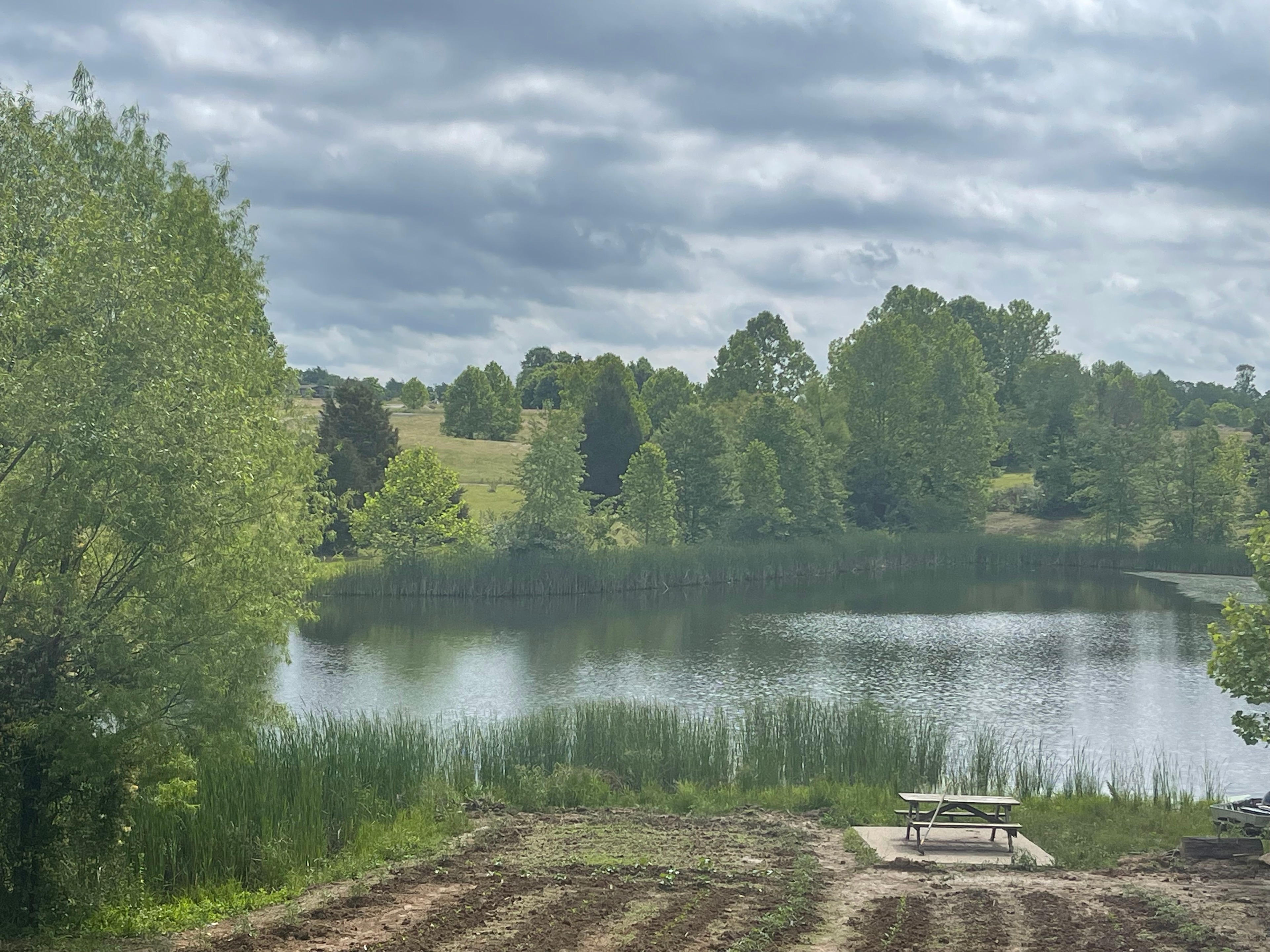 Carefree Rv Park & Campground