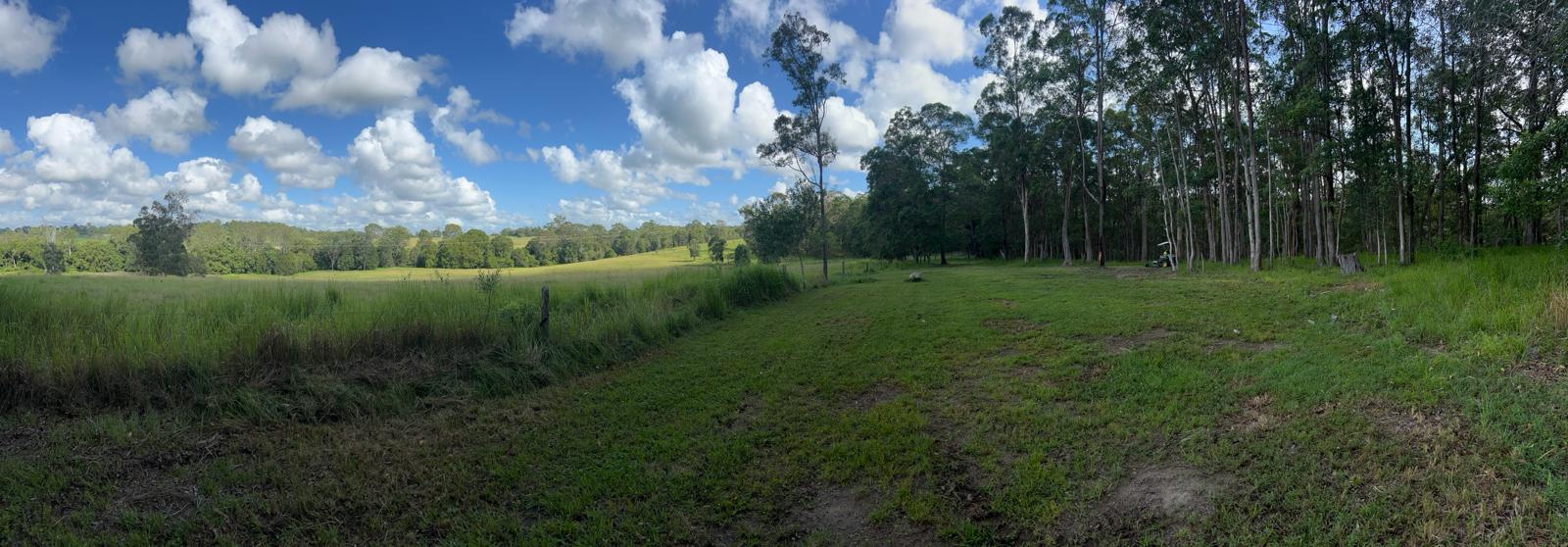 Belli Downs -Whole site to yourself