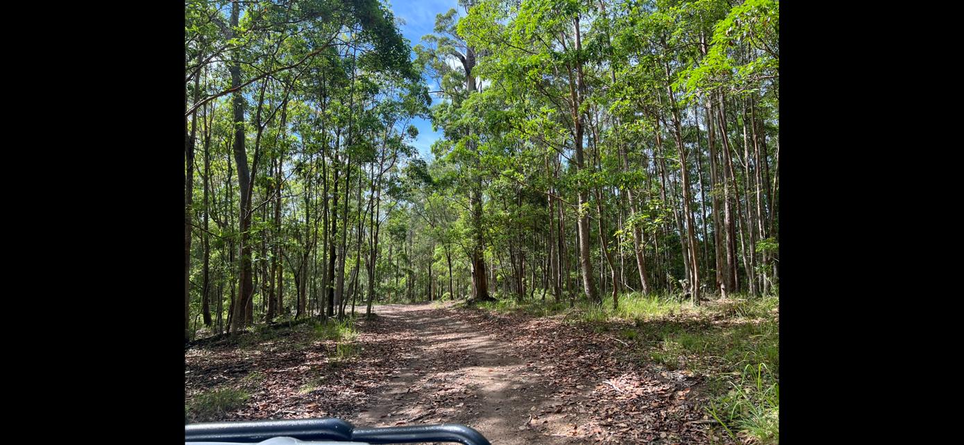 Belli Downs -Whole site to yourself