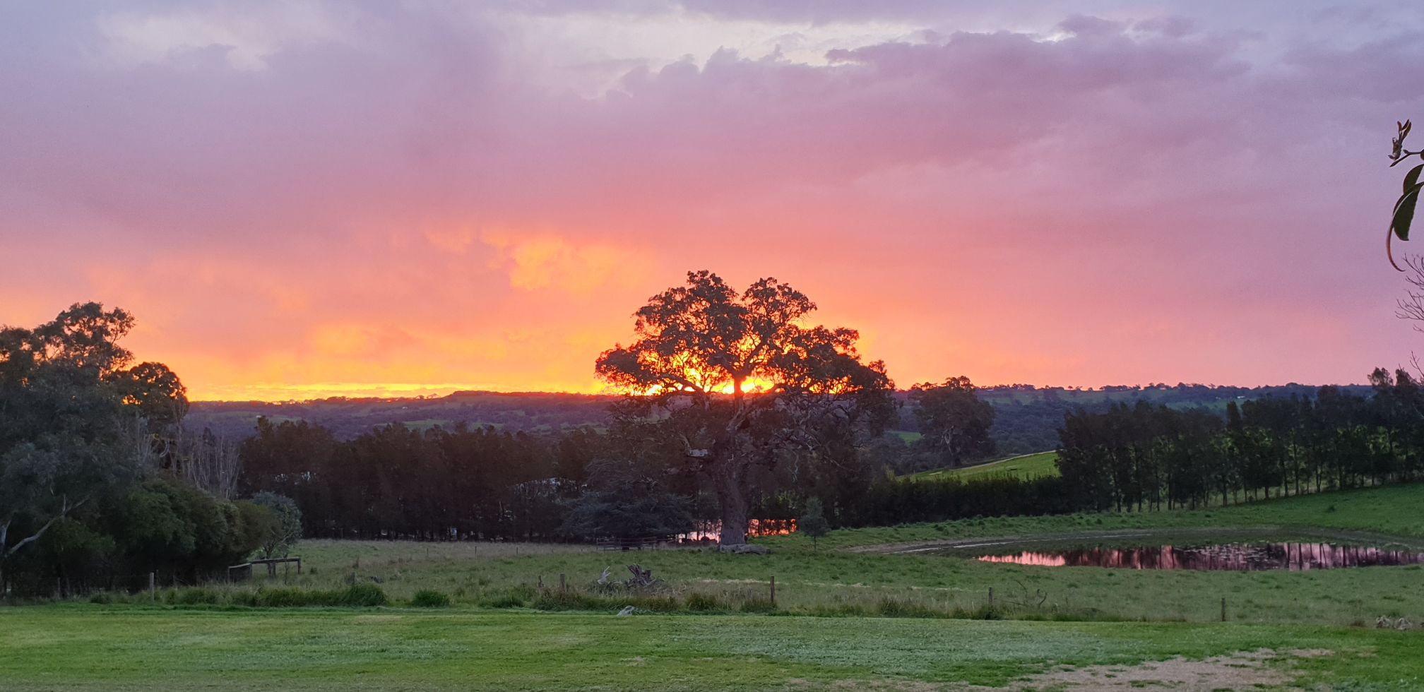 Sunset at Whitefield