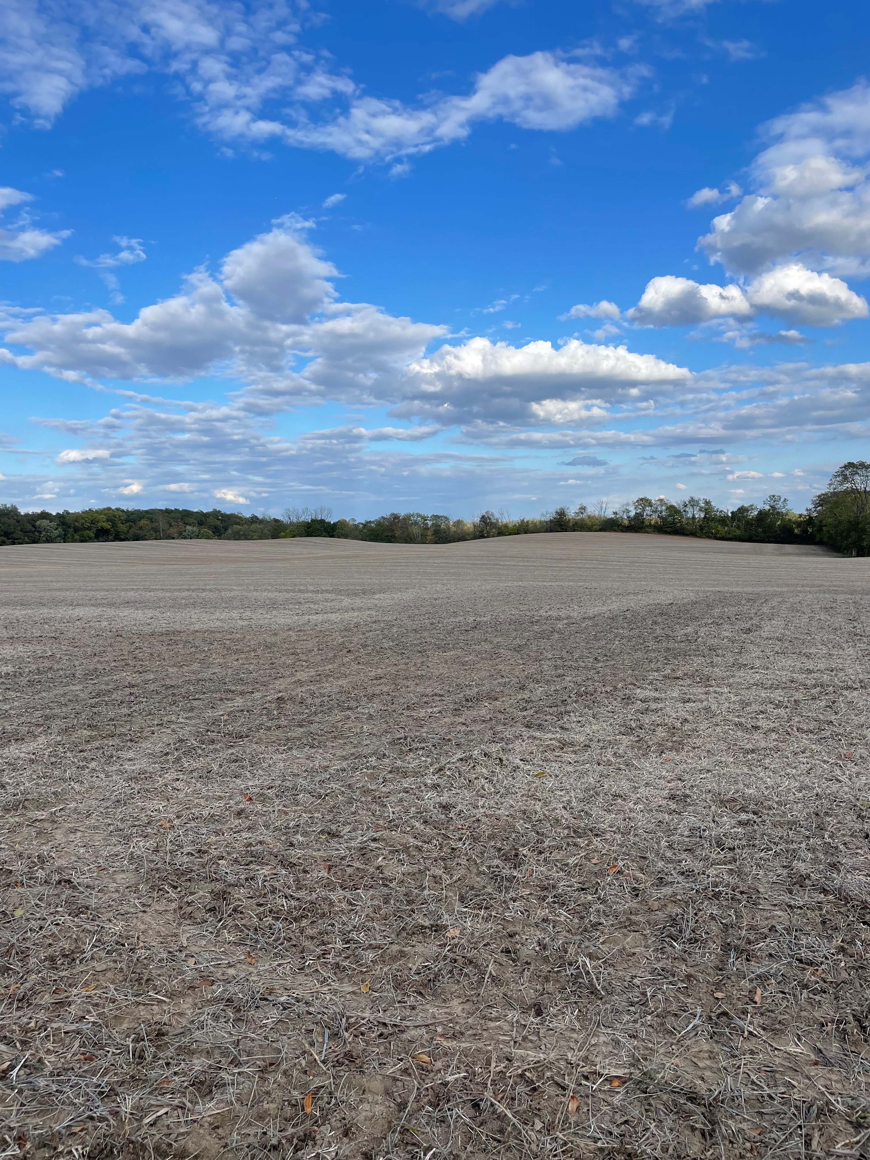 Rolling Hills Farm And Stables