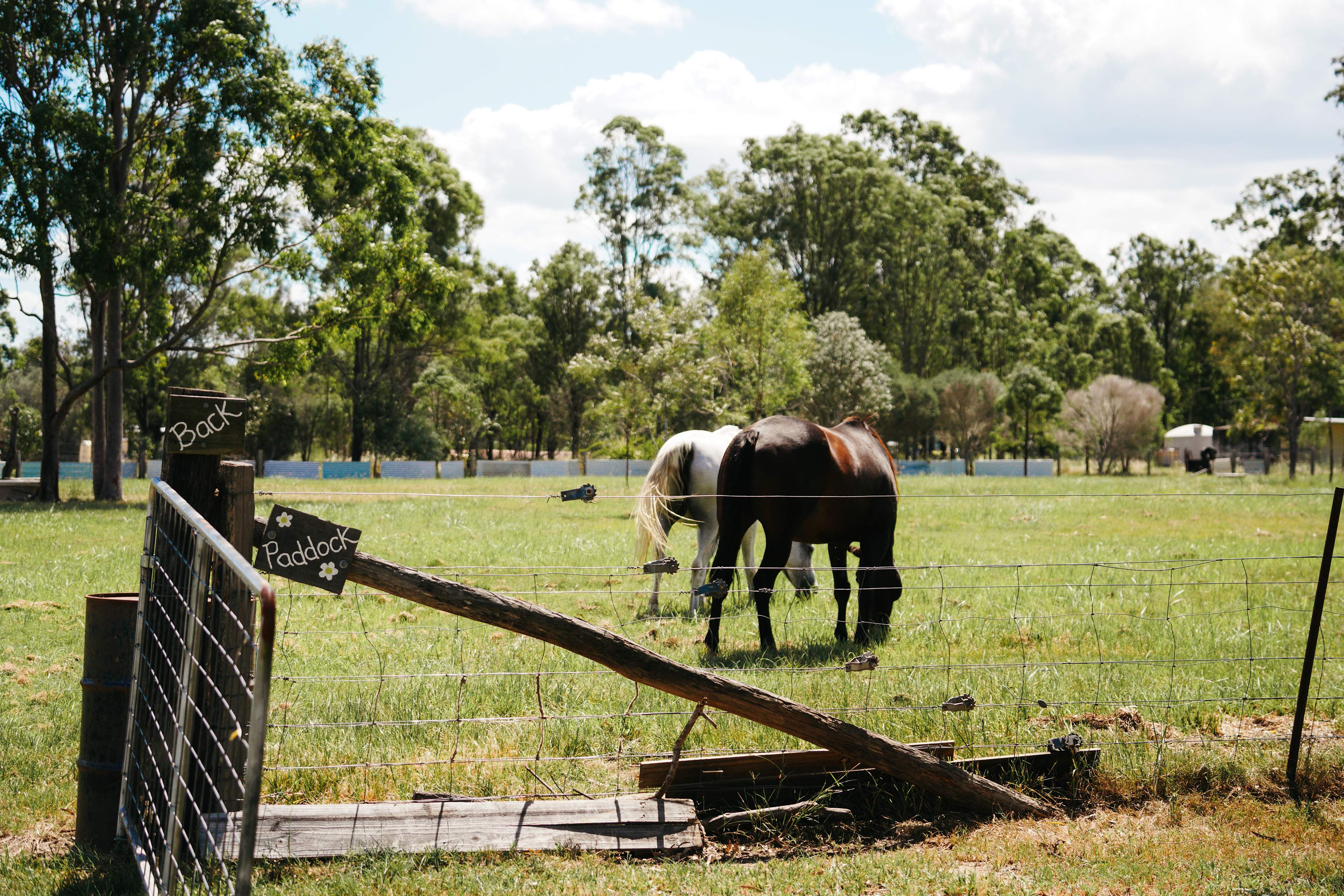 the back paddock thats a little more secluded