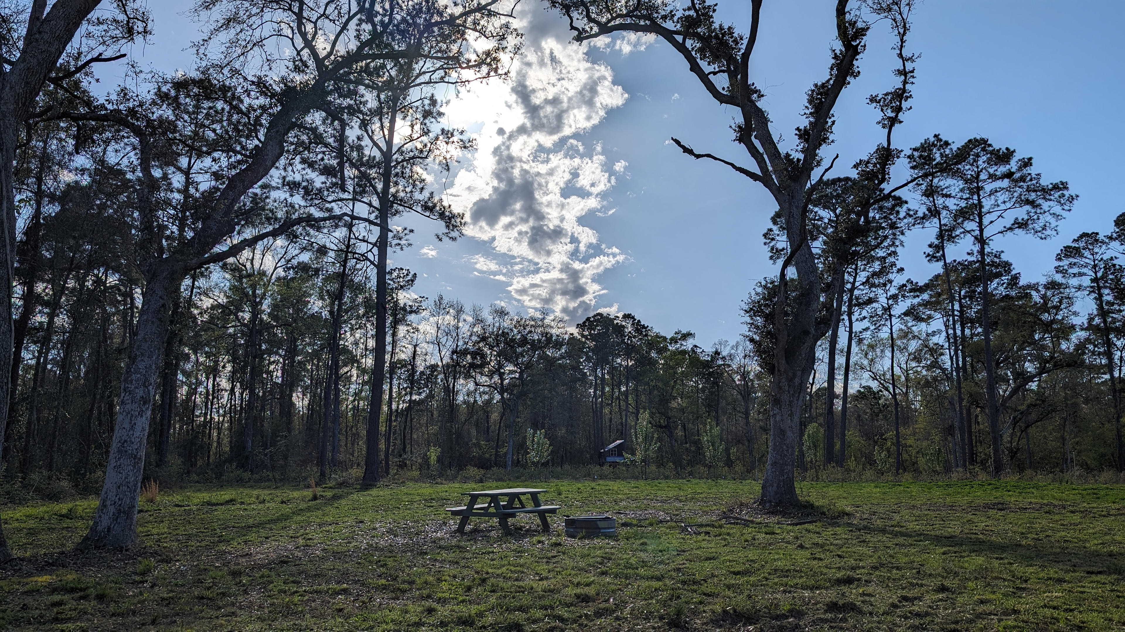 Big Branch Apiary