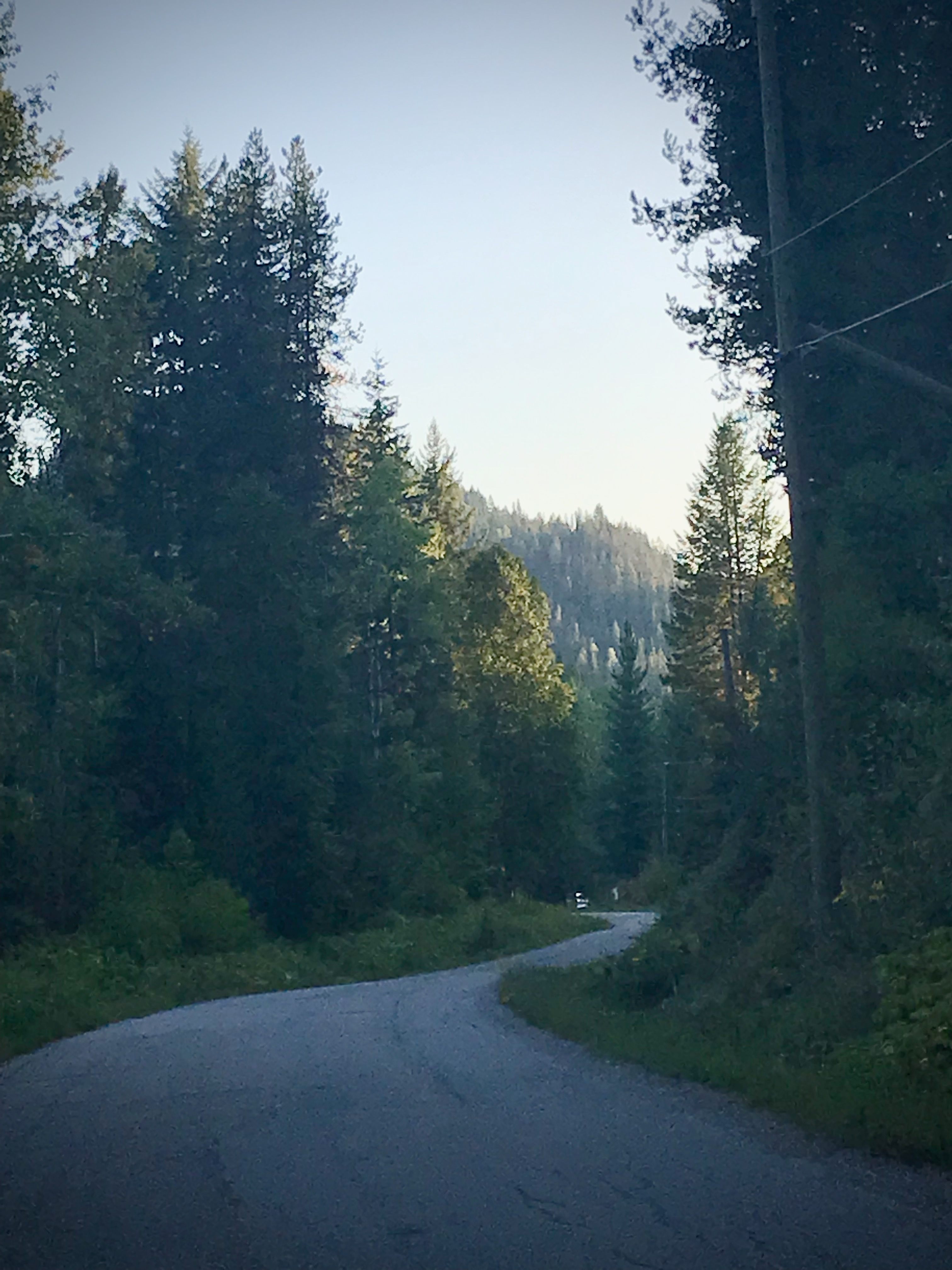 Best West Kootenay Tiny House