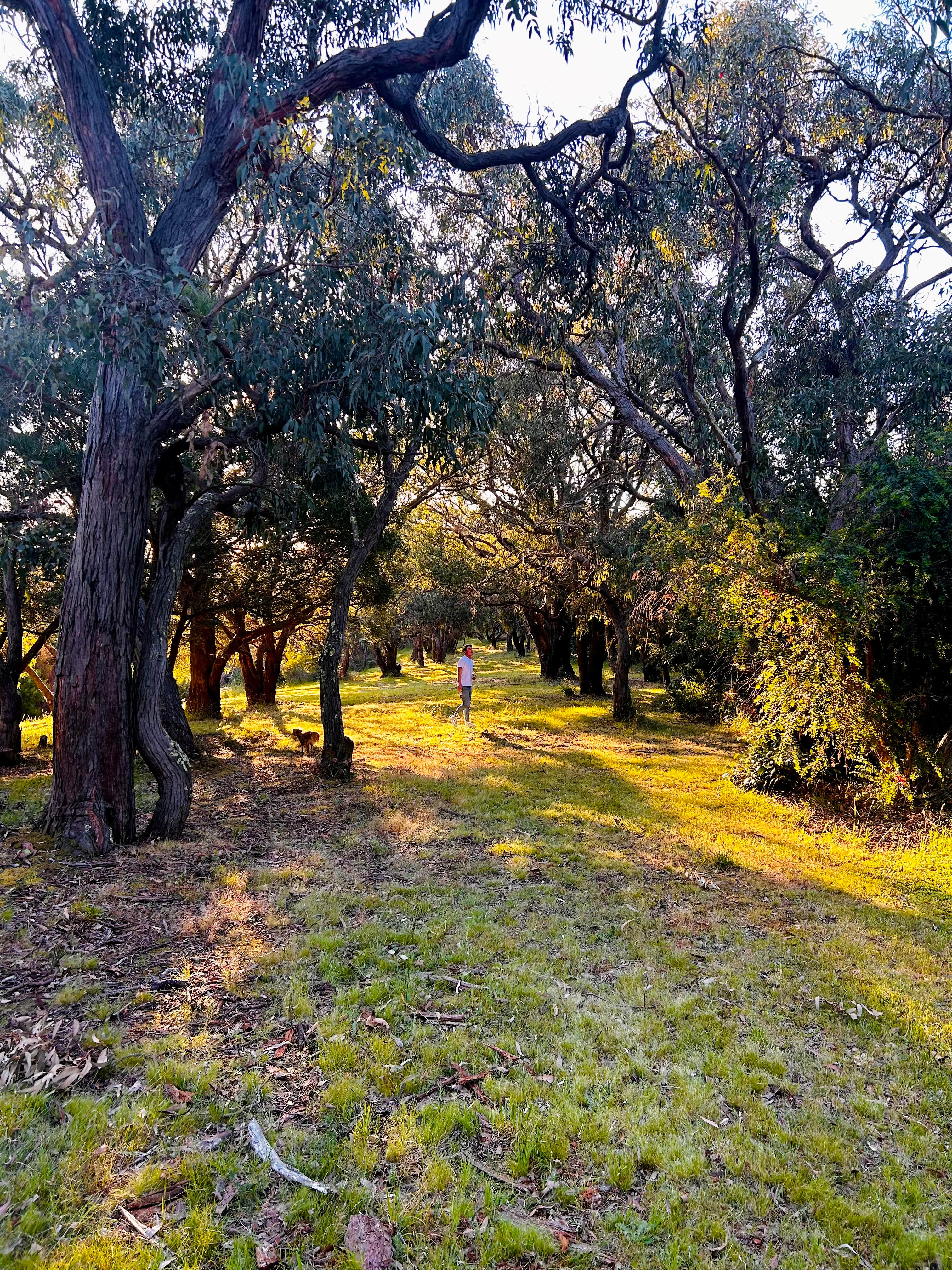 Walks around the property
