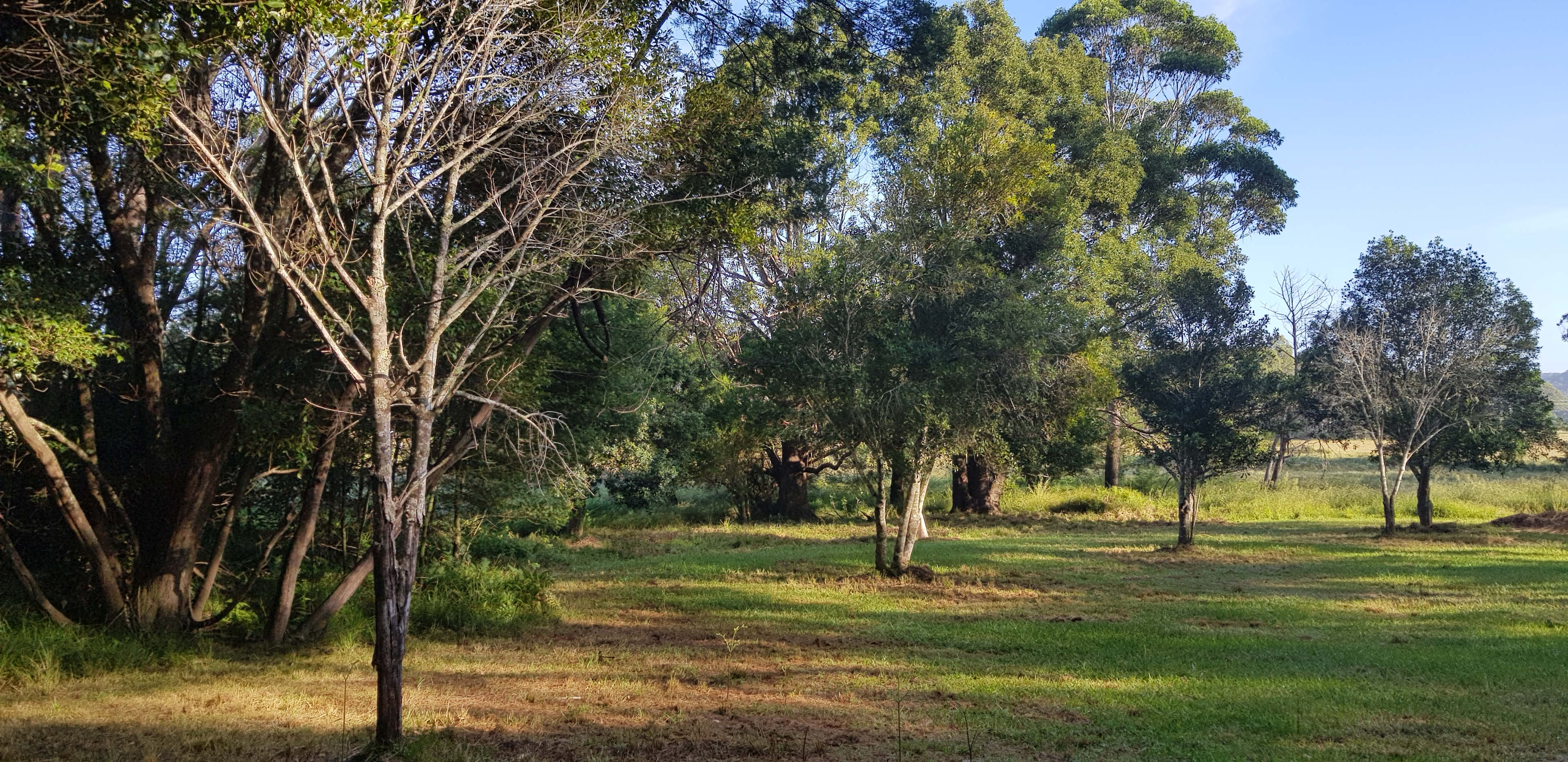 Fat Lamb Farm Camping