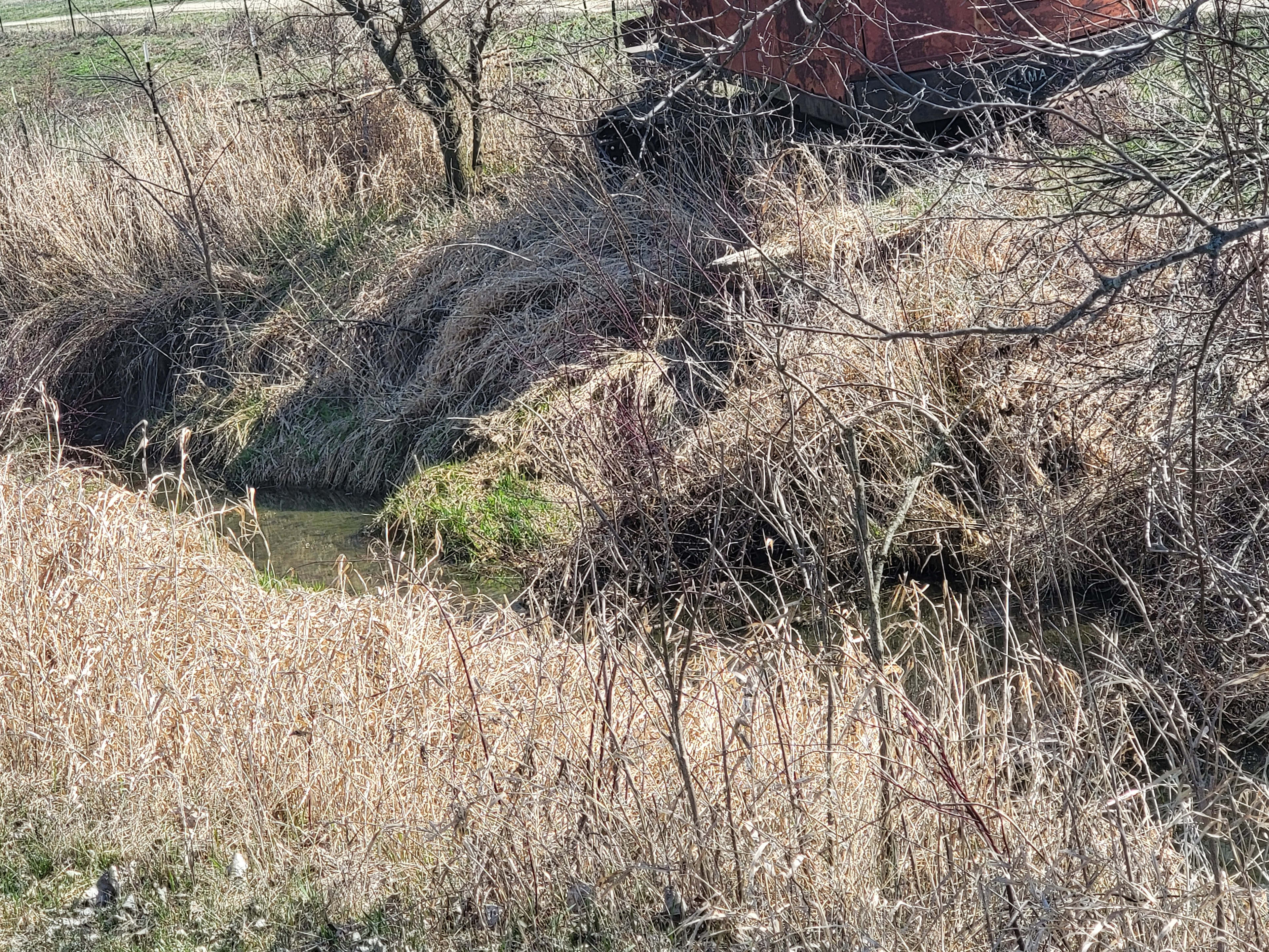 Scott and Amy's Rural Respite