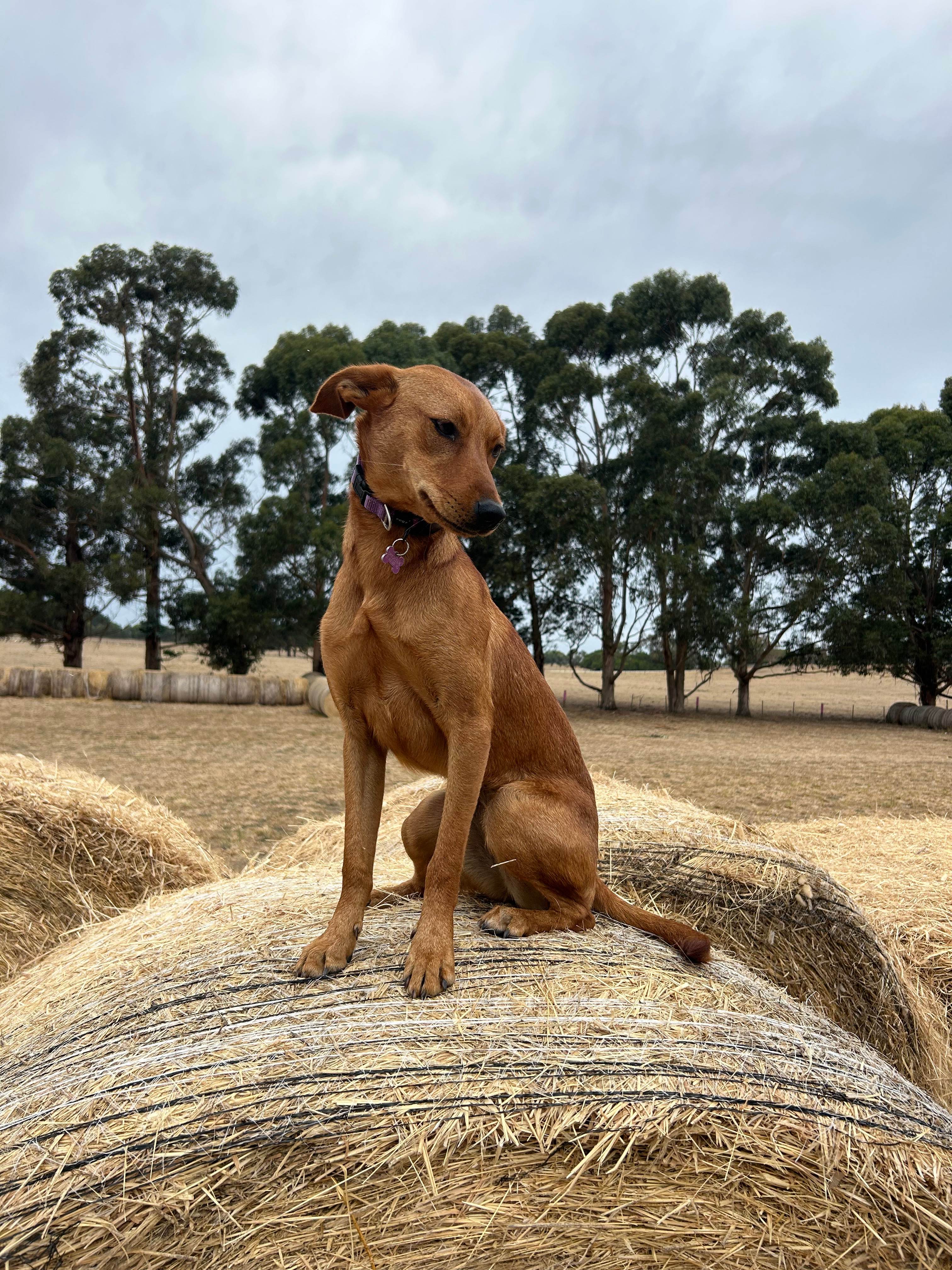 Strike a pose for the camera!