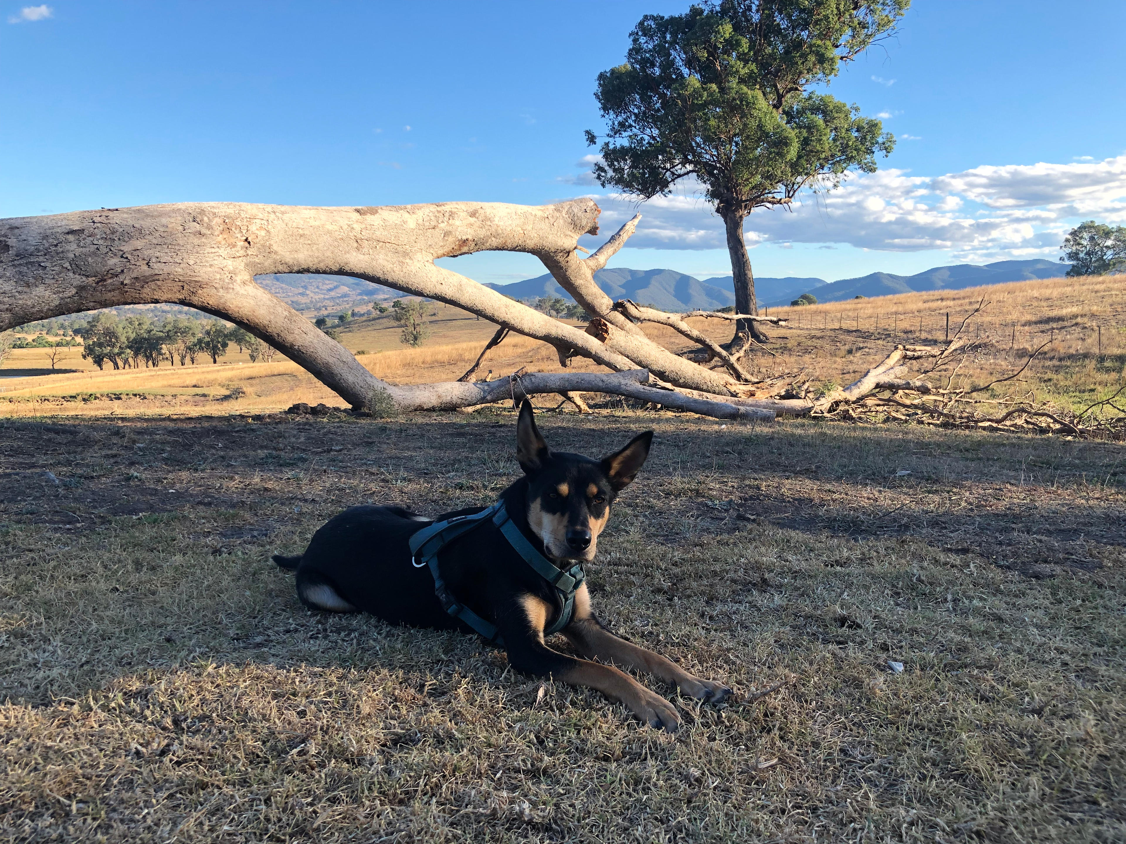 MOUNTAIN VIEW RETREAT