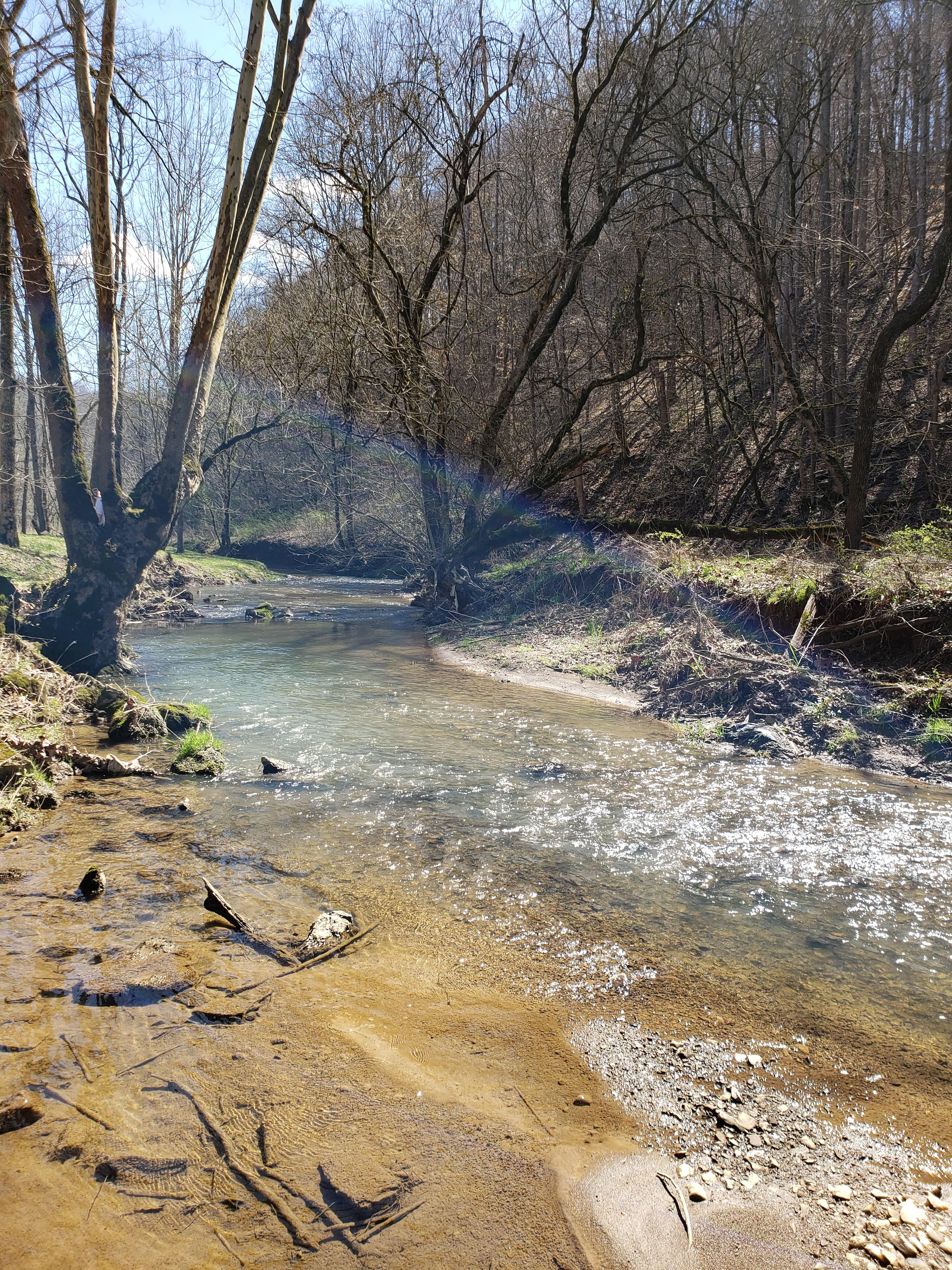 Out On The Creek Campground & RV
