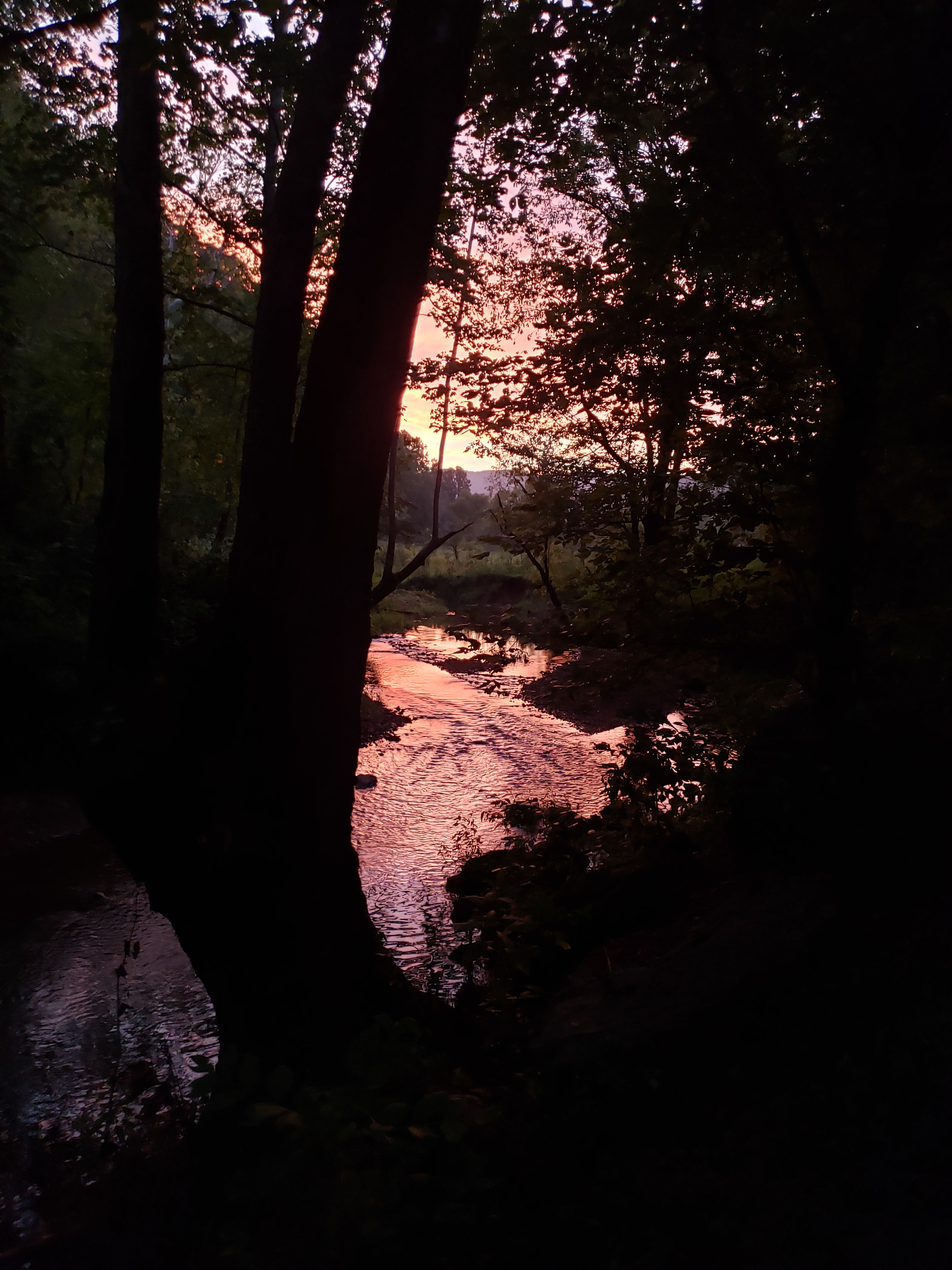 Out On The Creek Campground & RV