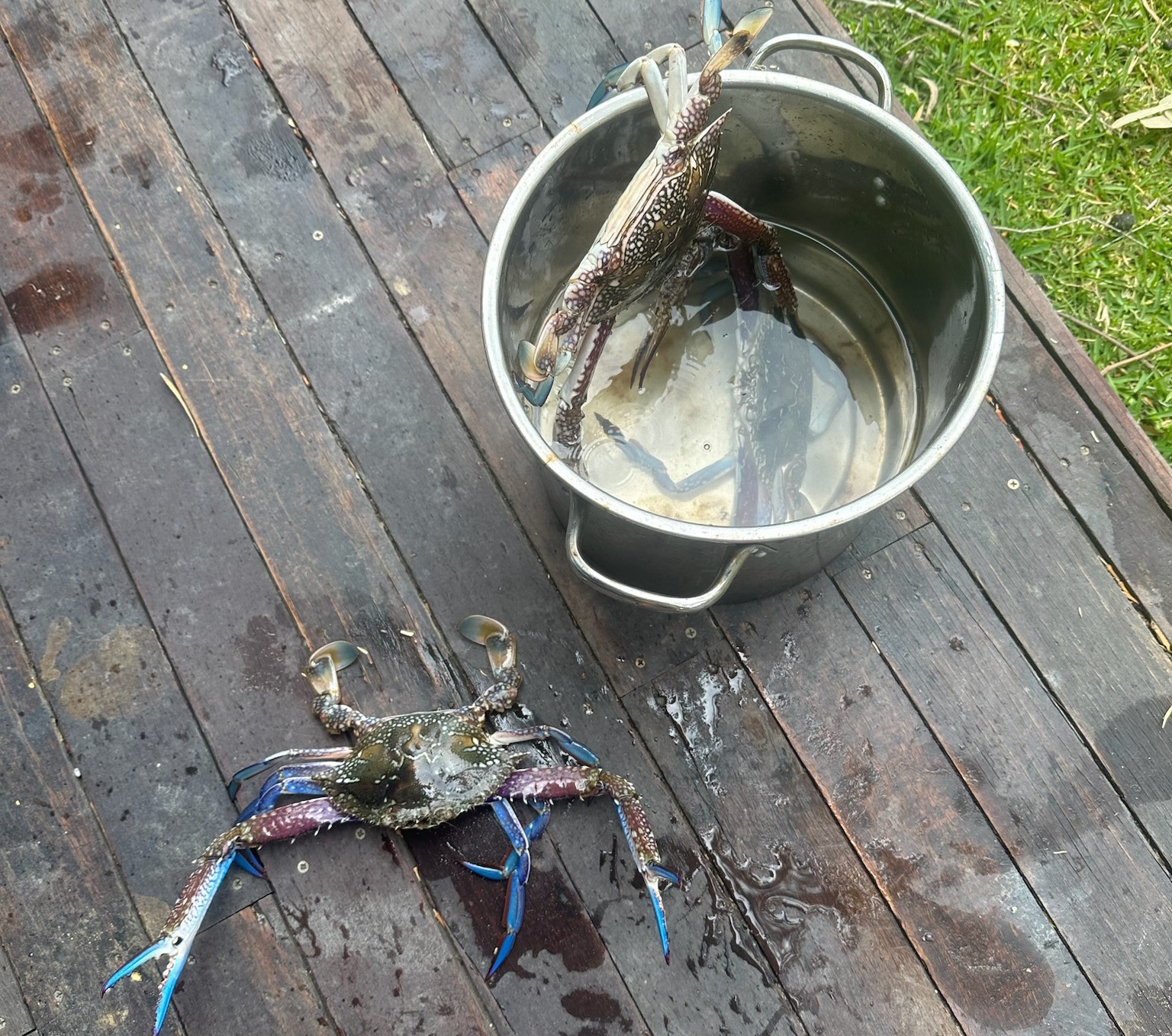 Goodwood Island River Camp & Stay